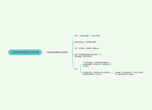 小活络丹的组成|主治|功用