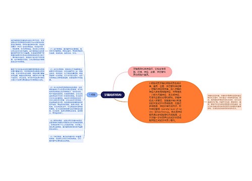 牙髓组织结构