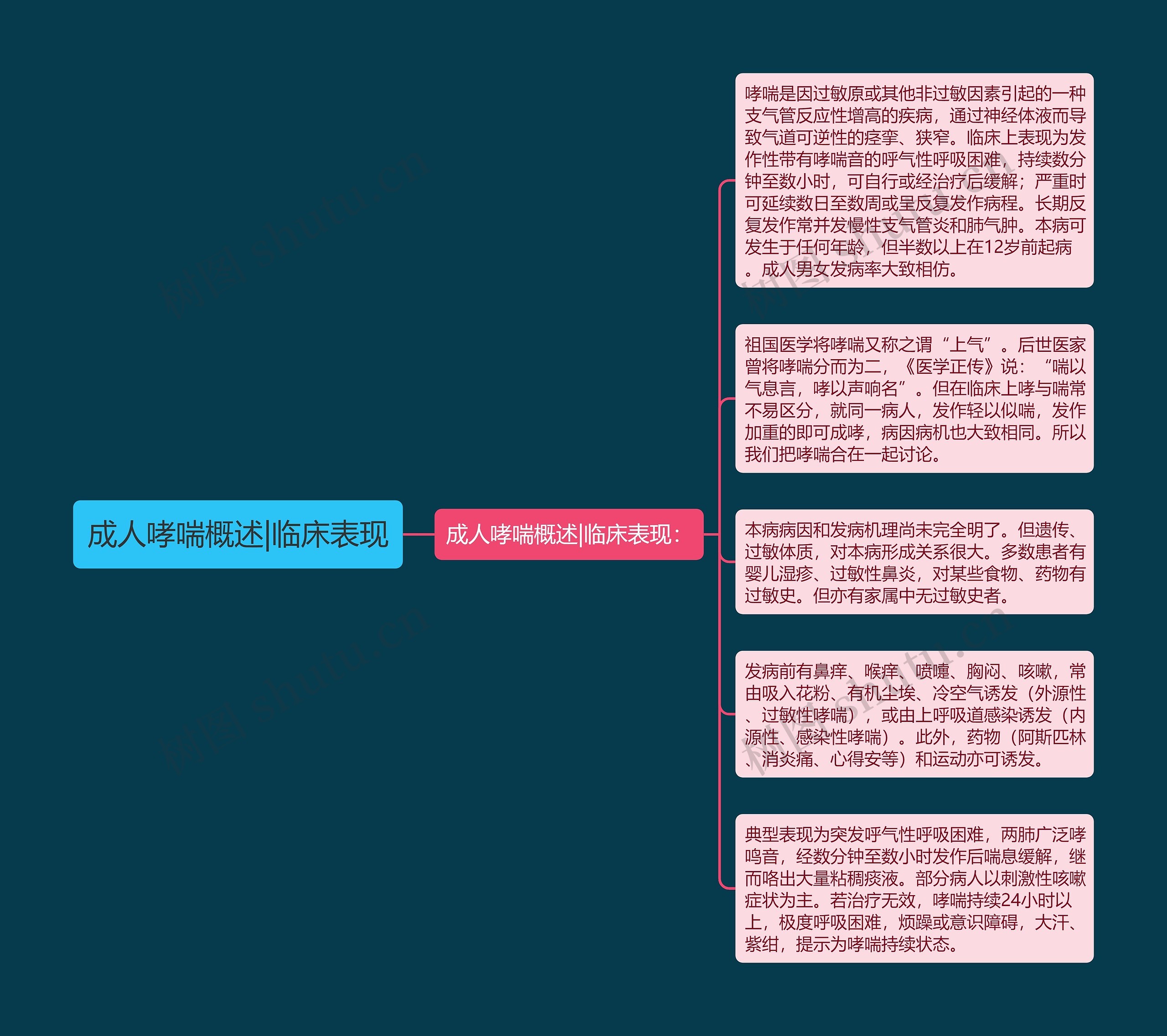 成人哮喘概述|临床表现思维导图