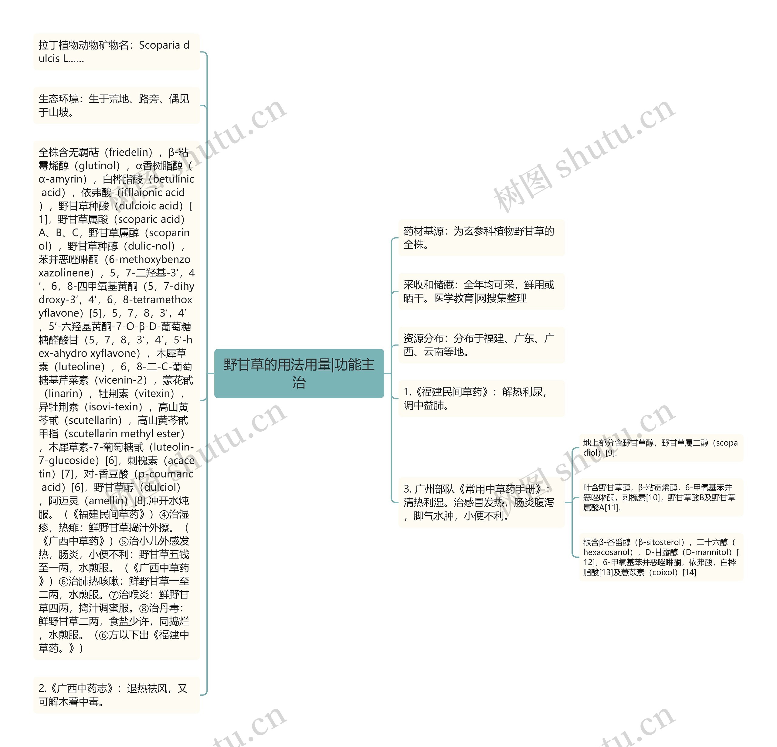 野甘草的用法用量|功能主治思维导图