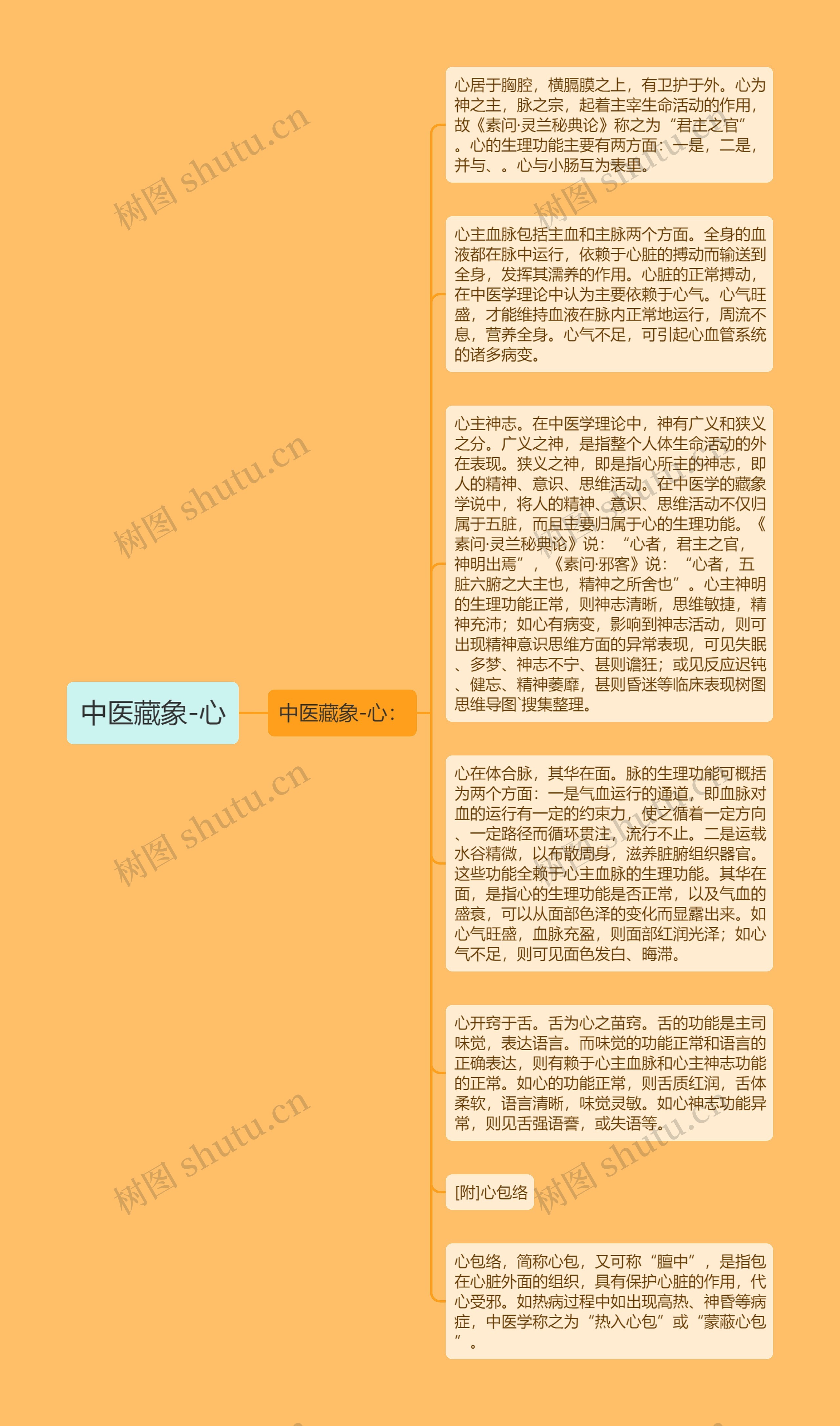 中医藏象-心思维导图