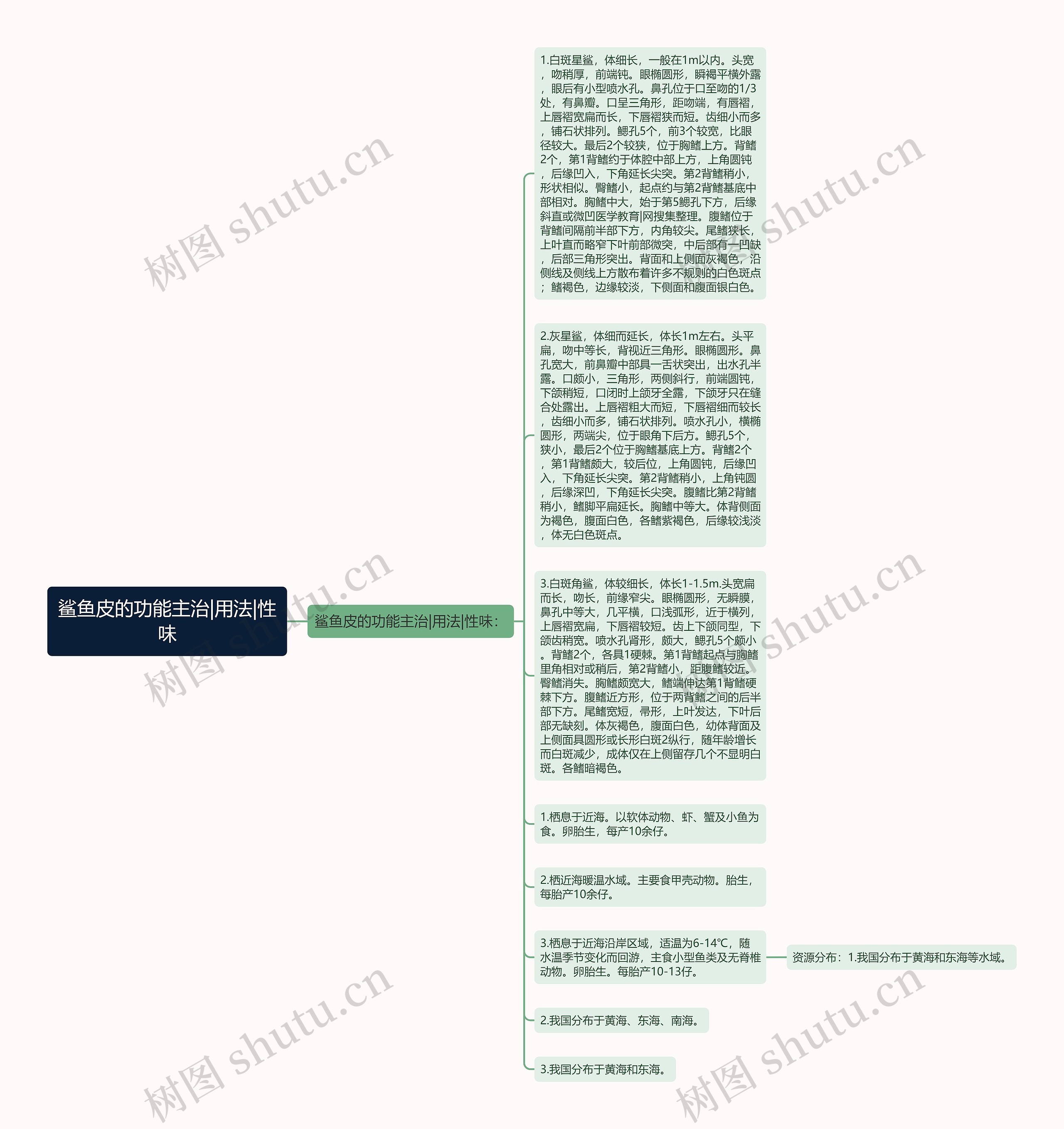 鲨鱼皮的功能主治|用法|性味思维导图