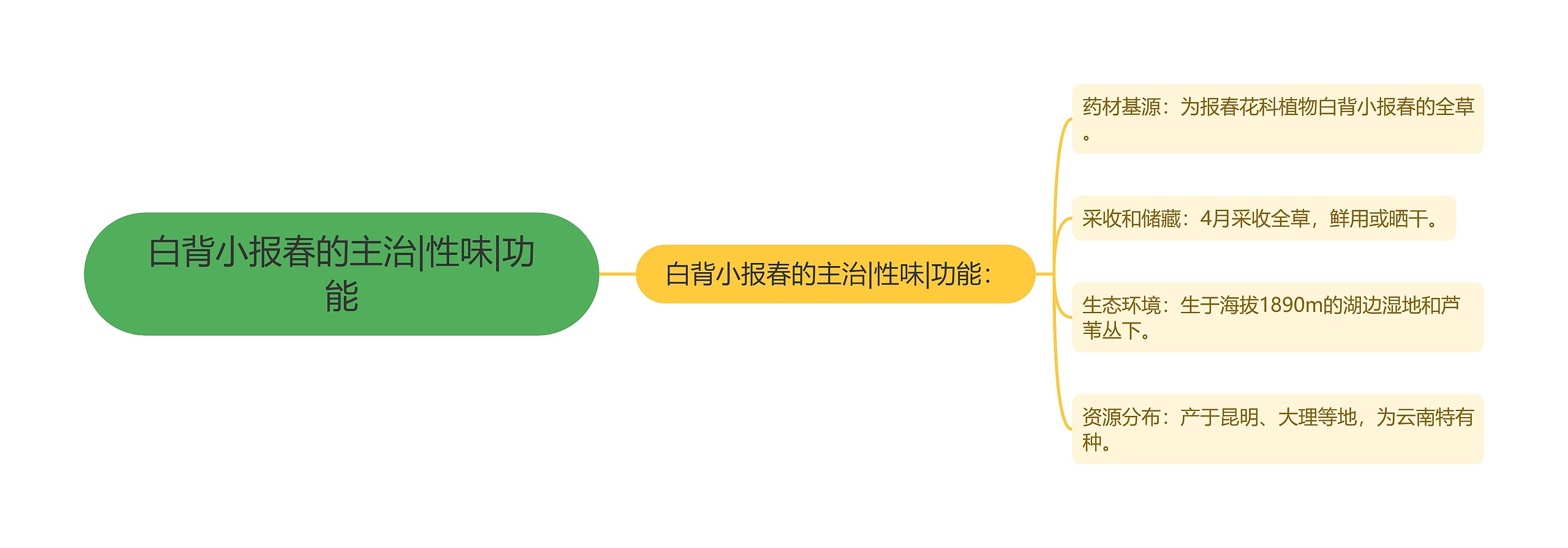 白背小报春的主治|性味|功能