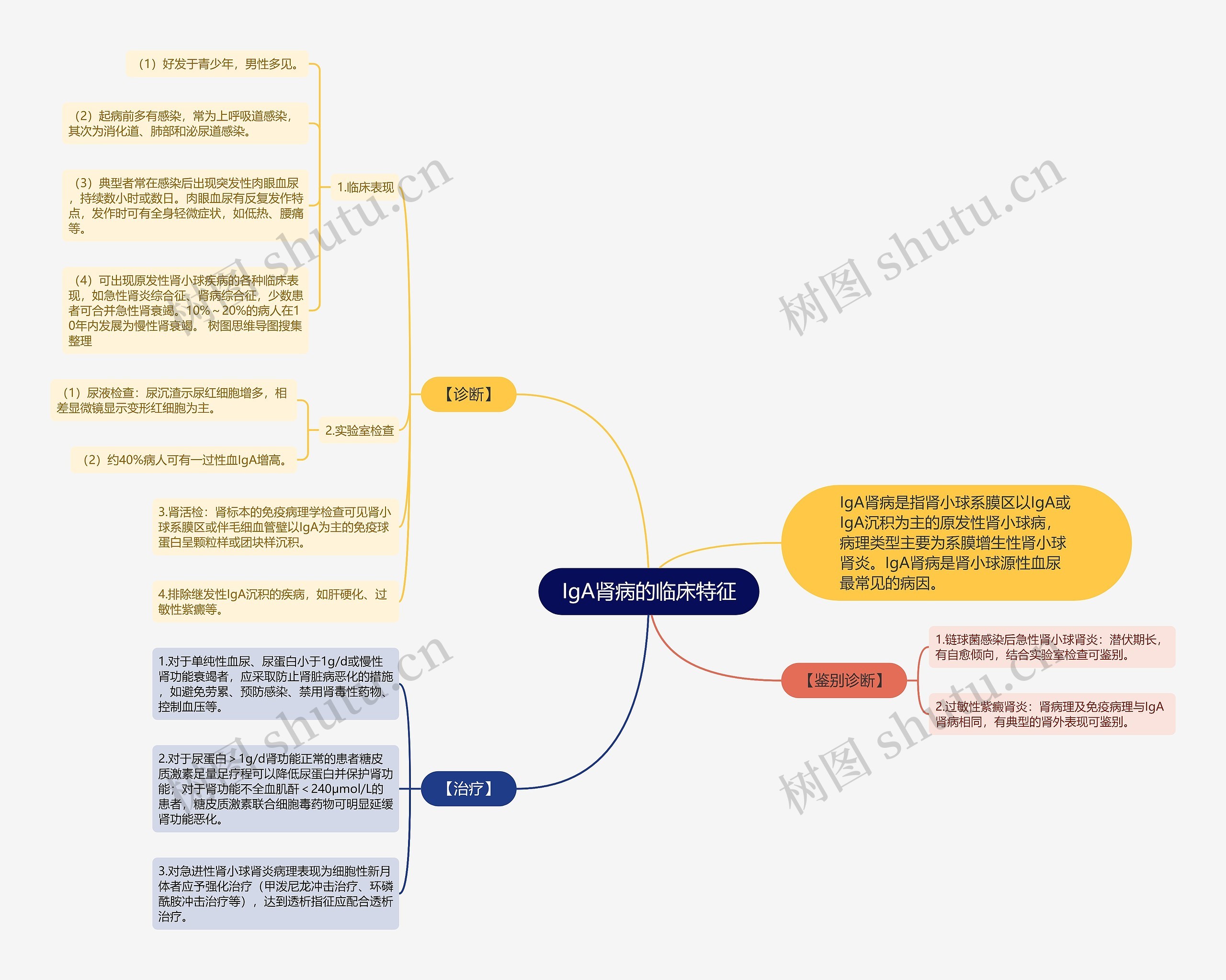 IgA肾病的临床特征思维导图