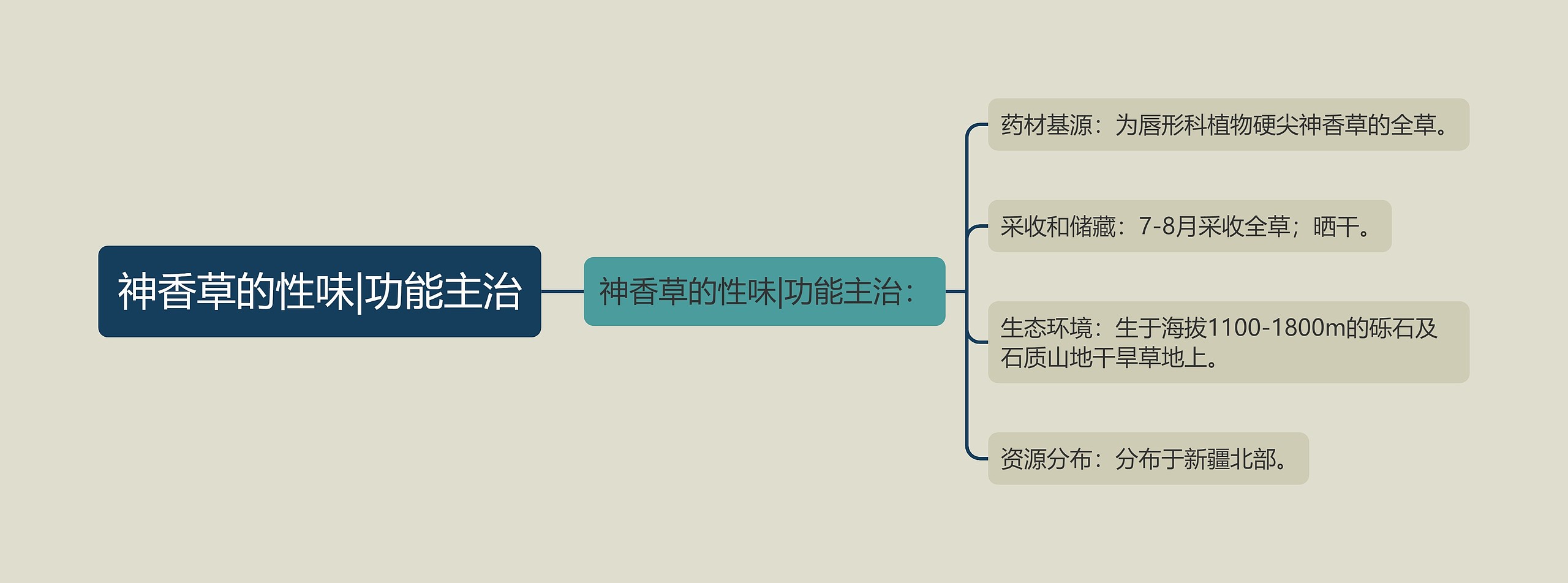 神香草的性味|功能主治