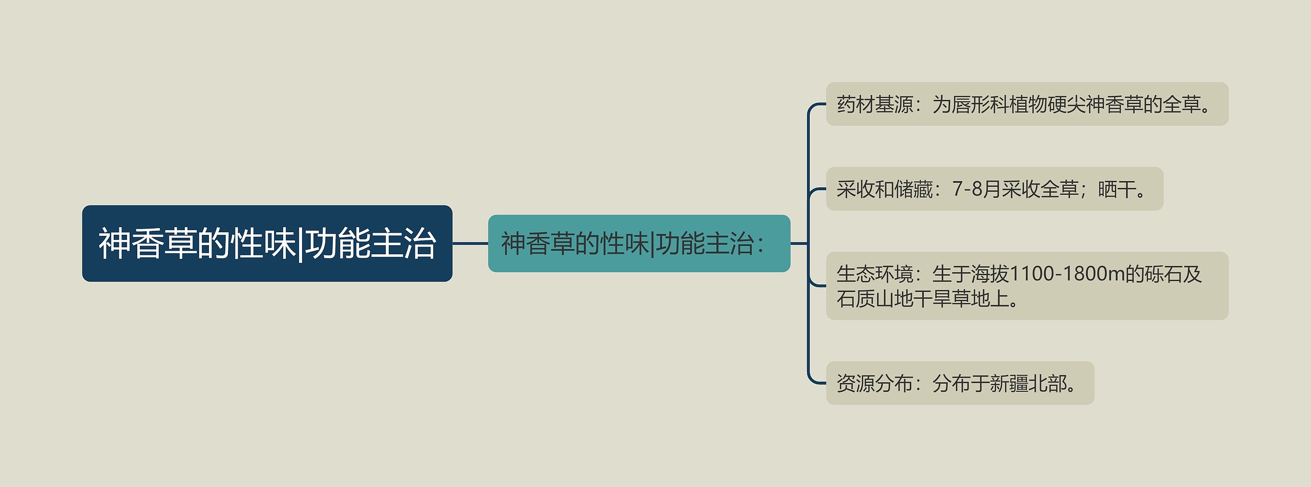 神香草的性味|功能主治思维导图