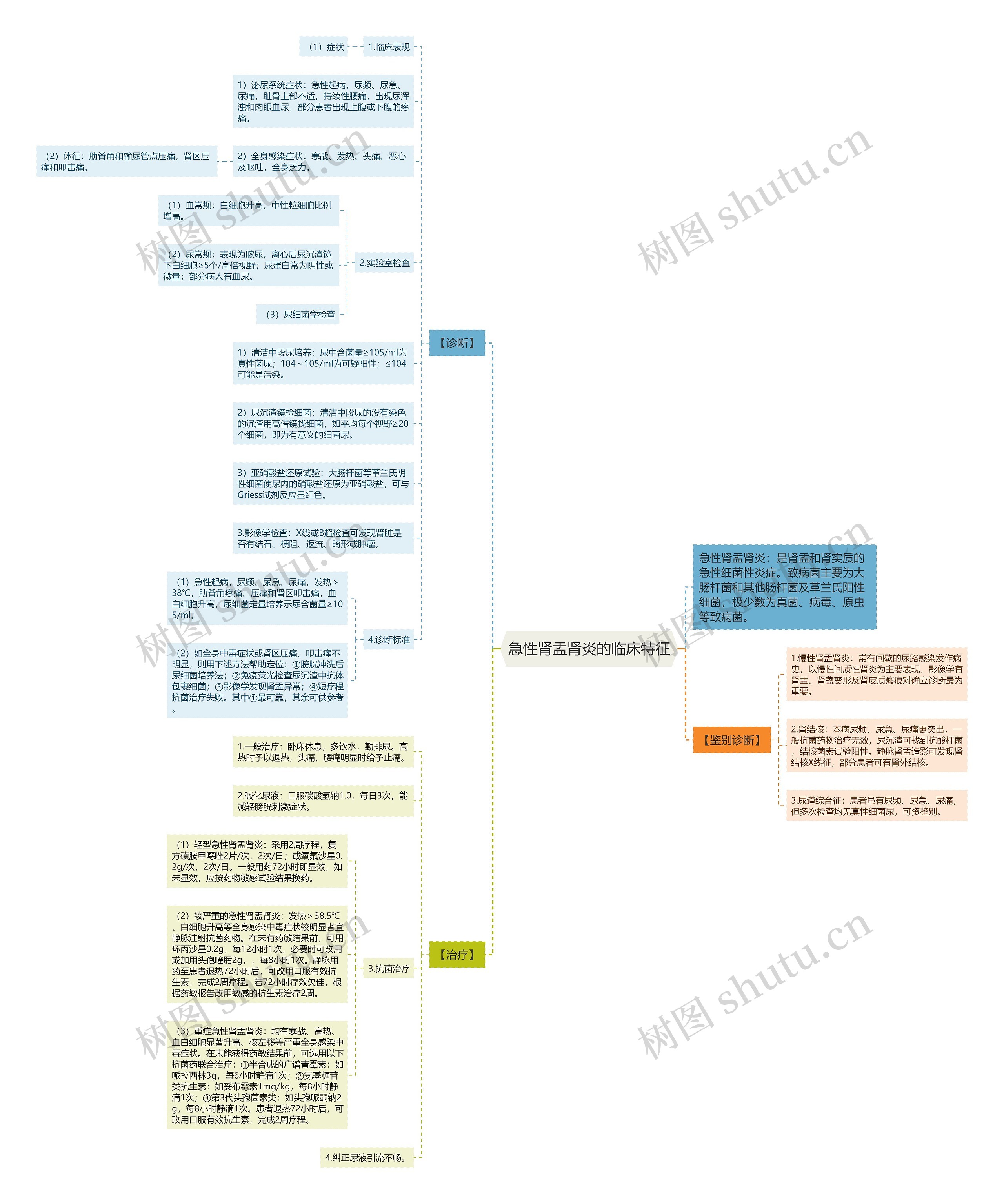 急性肾盂肾炎的临床特征思维导图