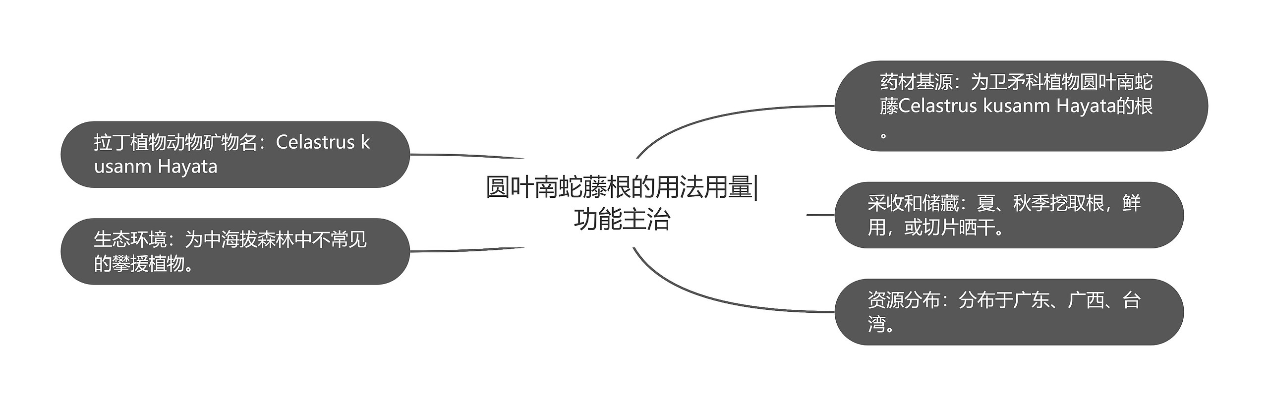 圆叶南蛇藤根的用法用量|功能主治思维导图