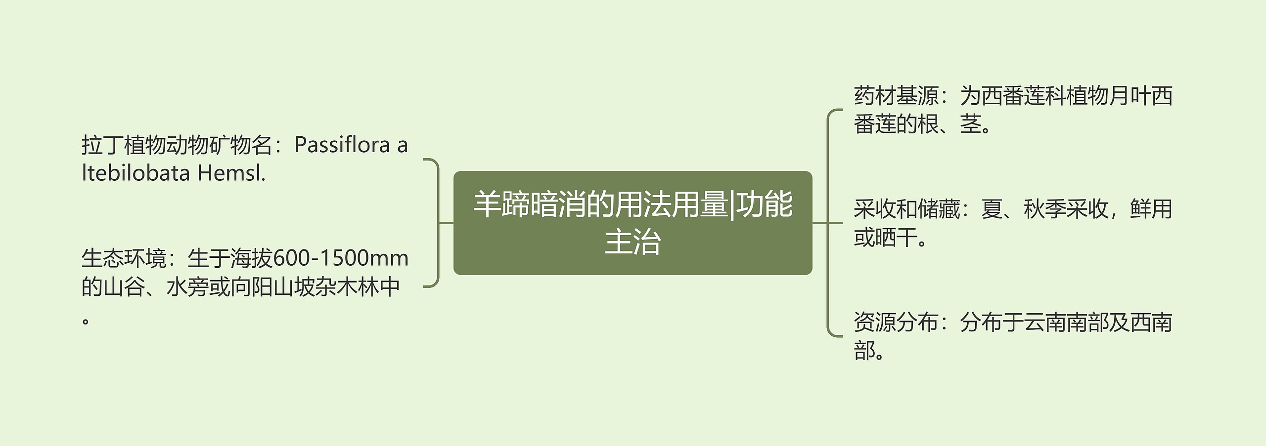羊蹄暗消的用法用量|功能主治 羊蹄暗消的用法用量|功能主治