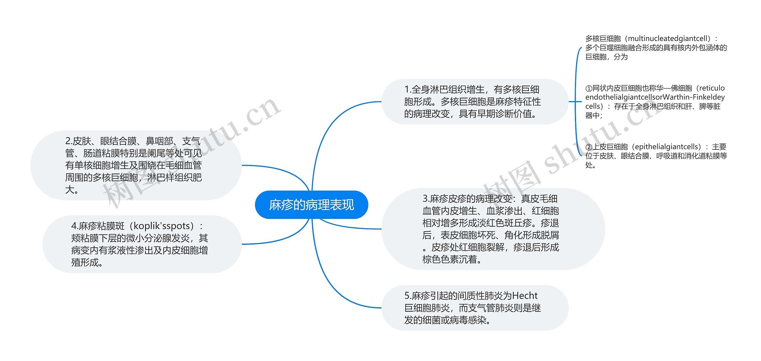 麻疹的病理表现思维导图