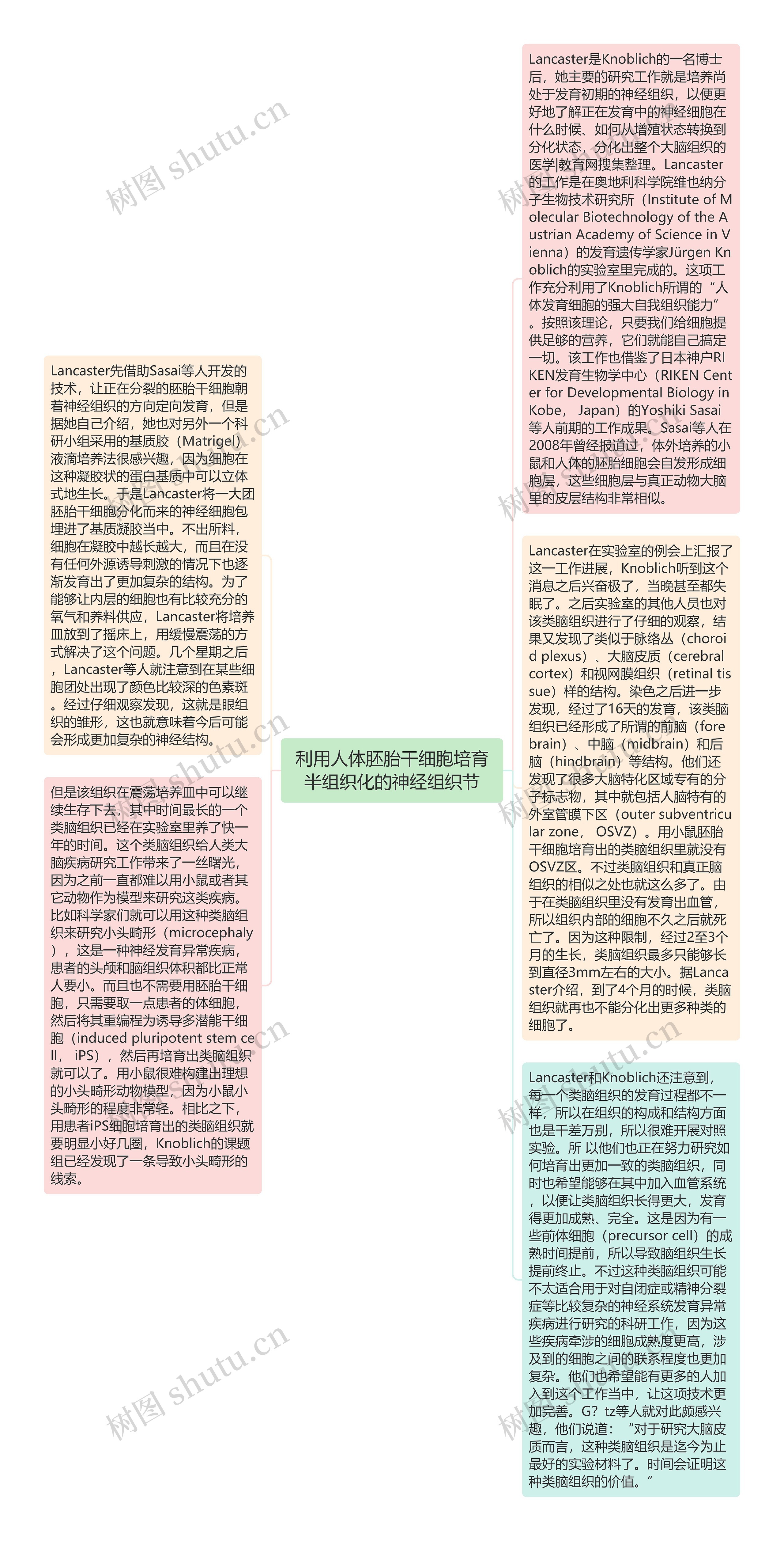 利用人体胚胎干细胞培育半组织化的神经组织节思维导图