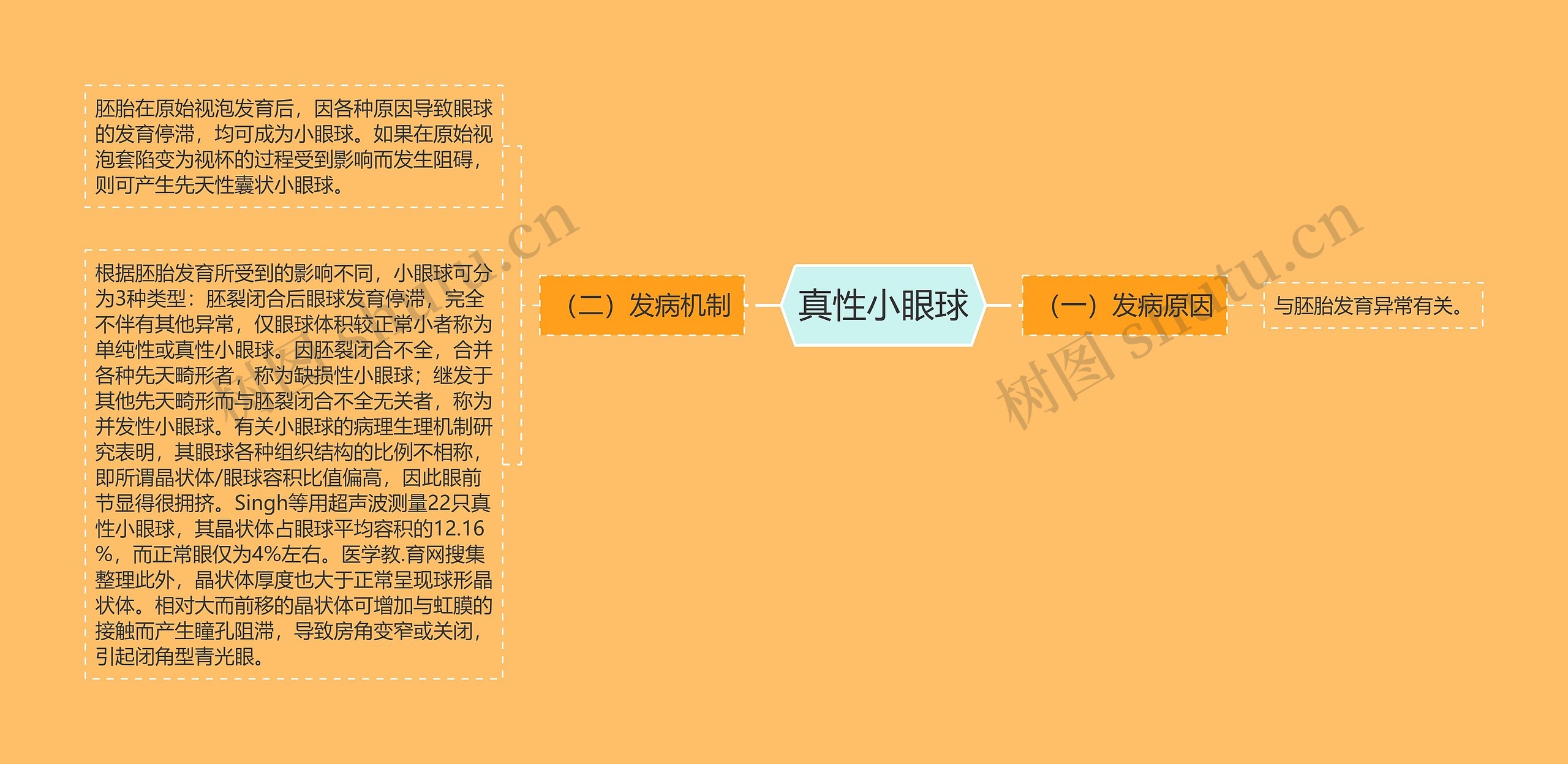 真性小眼球思维导图