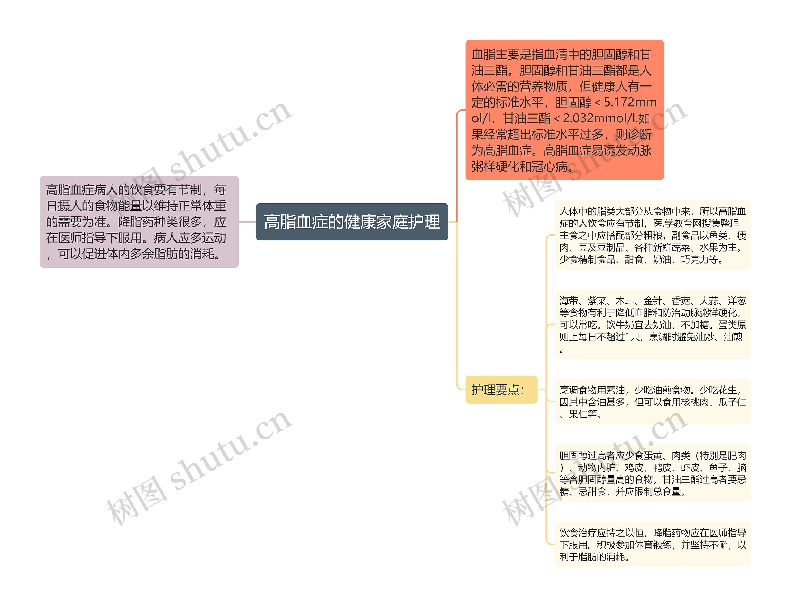 高脂血症的健康家庭护理思维导图