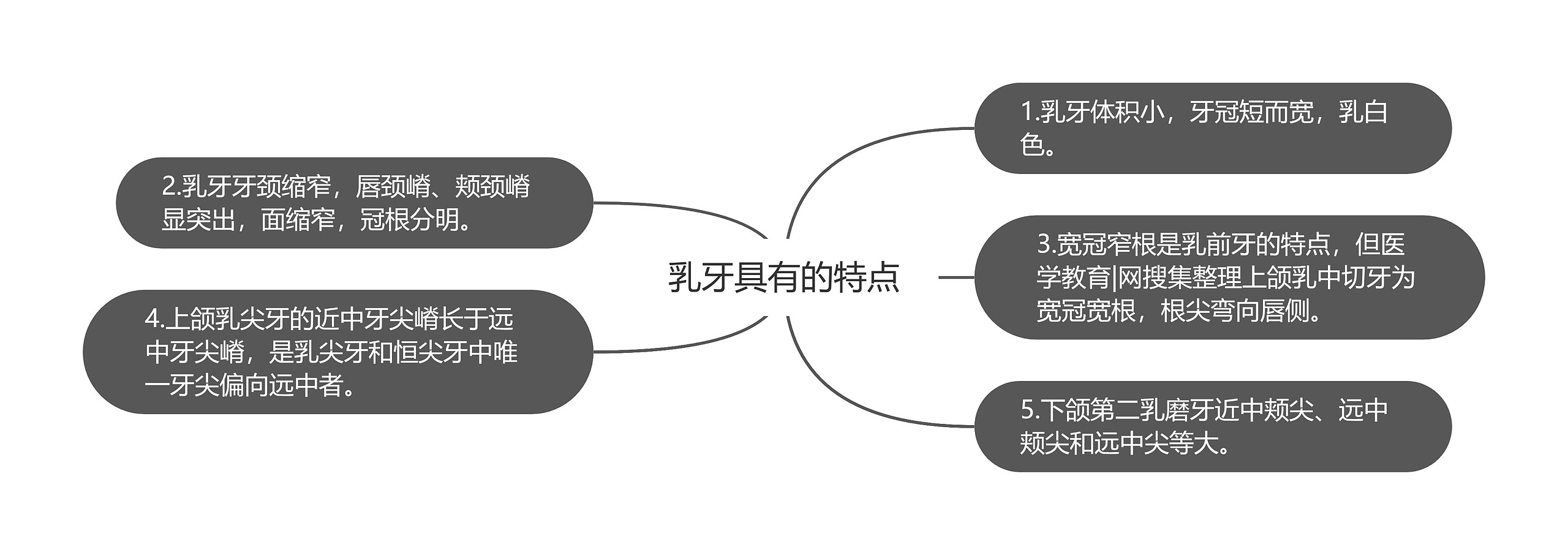 乳牙具有的特点思维导图