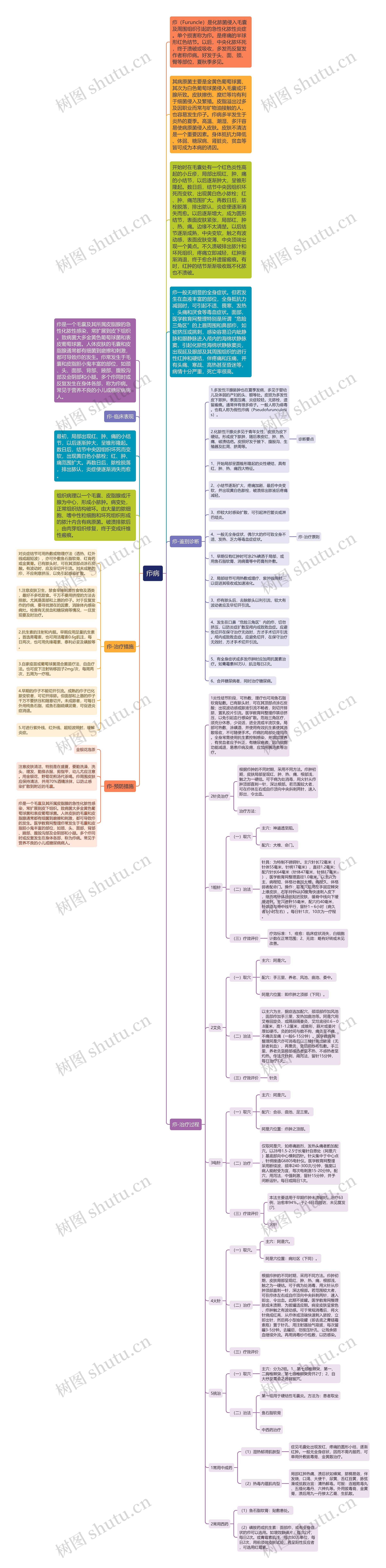 疖病思维导图