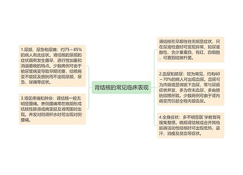 肾结核的常见临床表现