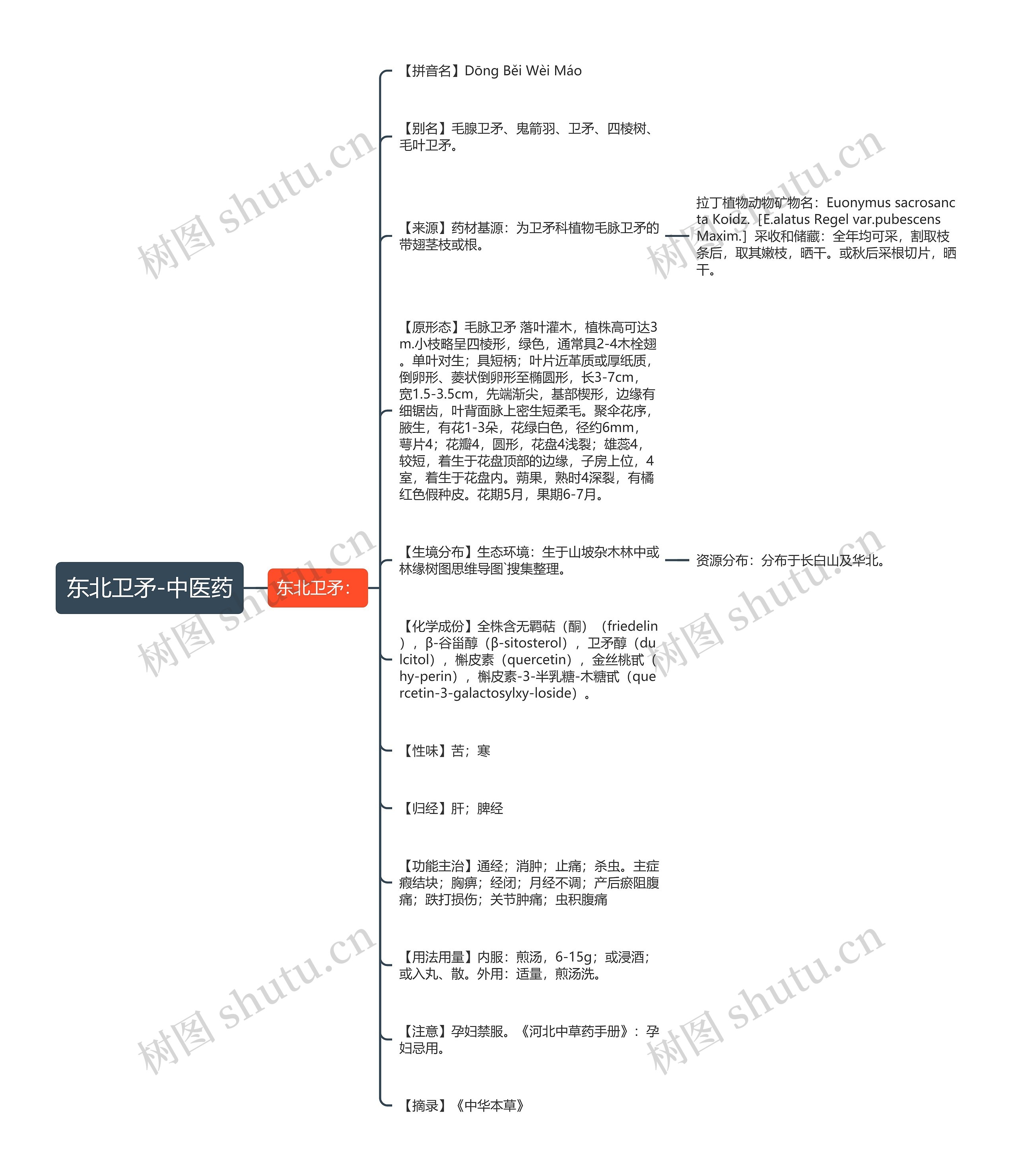 东北卫矛-中医药思维导图