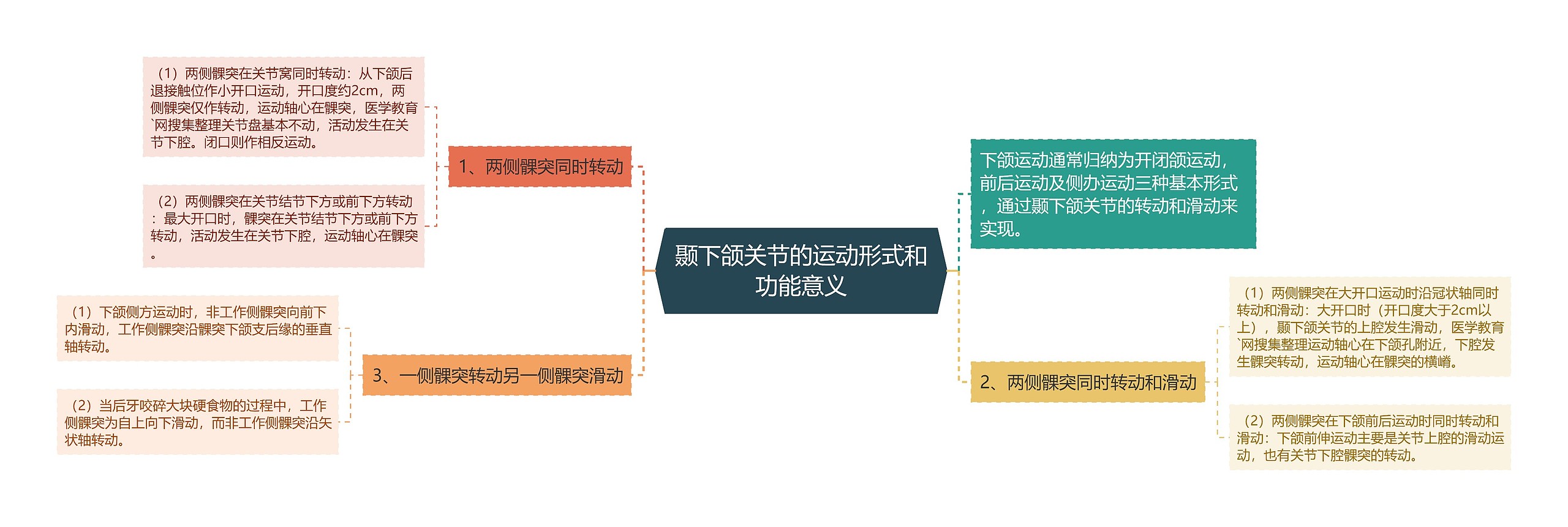 颞下颌关节的运动形式和功能意义