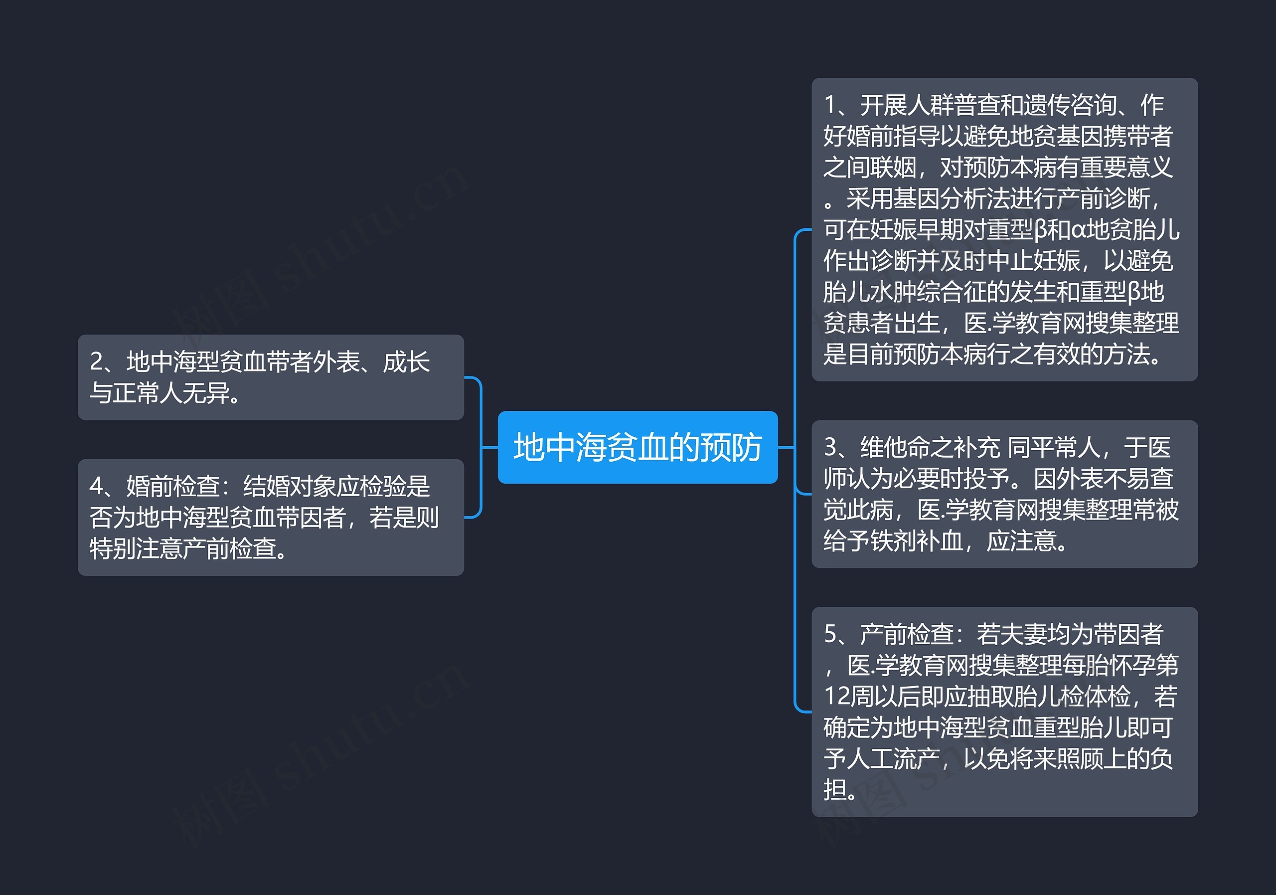 地中海贫血的预防思维导图