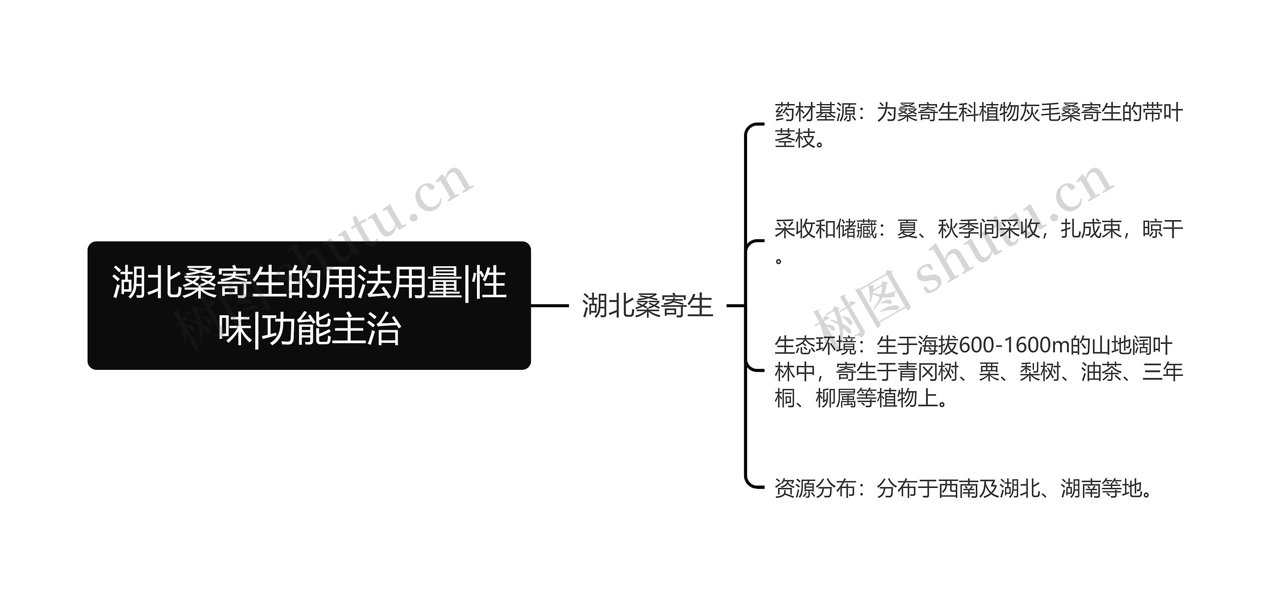 湖北桑寄生的用法用量|性味|功能主治思维导图