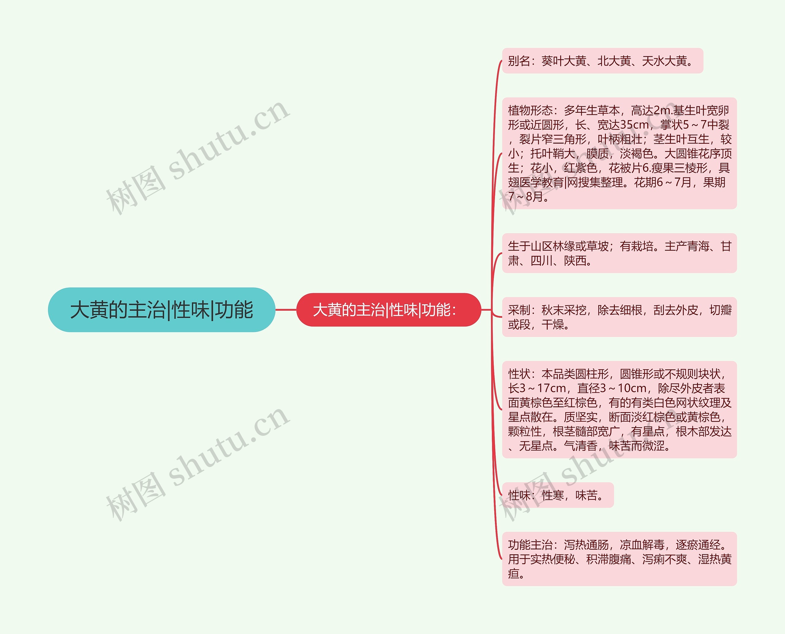 大黄的主治|性味|功能思维导图