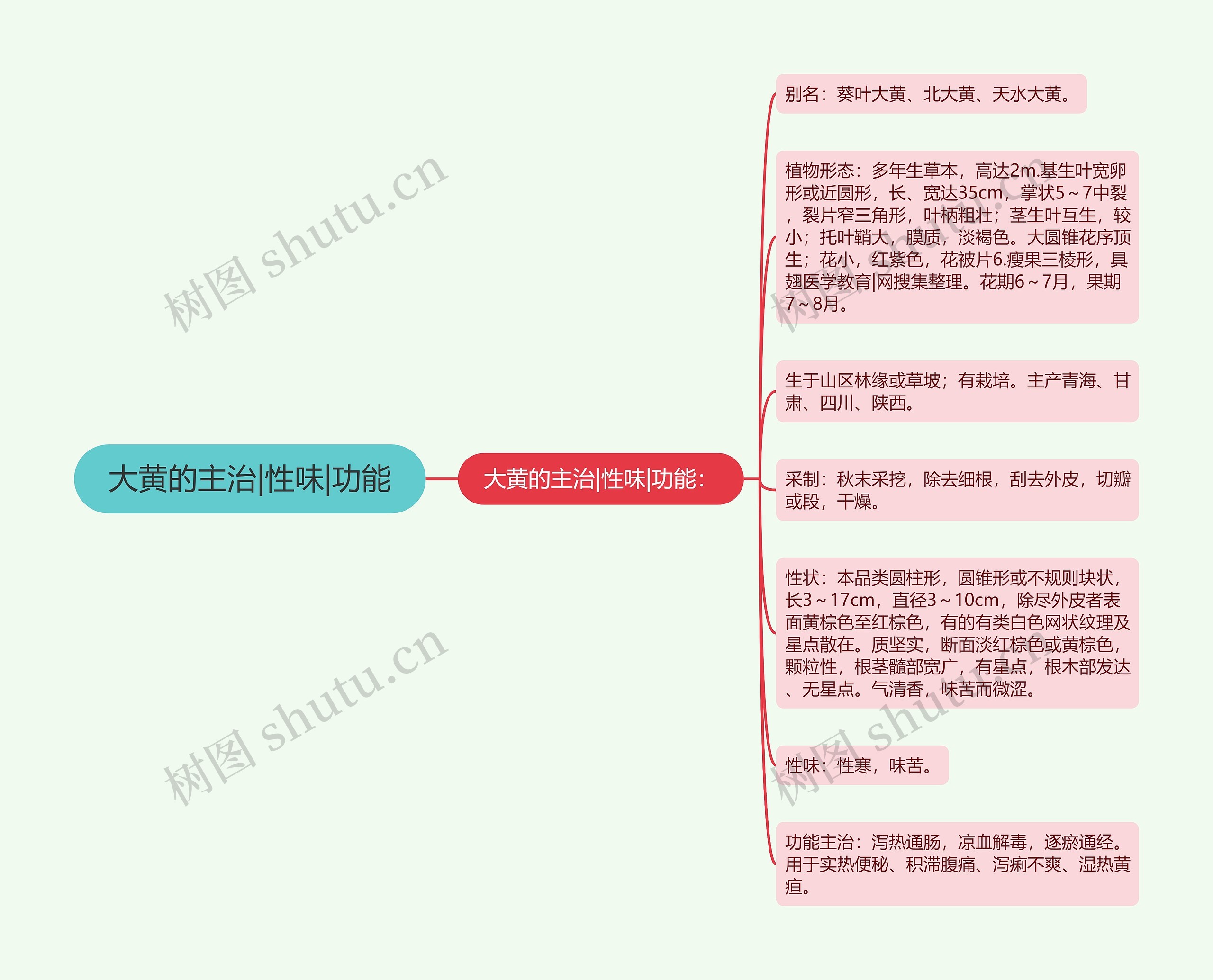 大黄的主治|性味|功能 大黄的主治|性味|功能