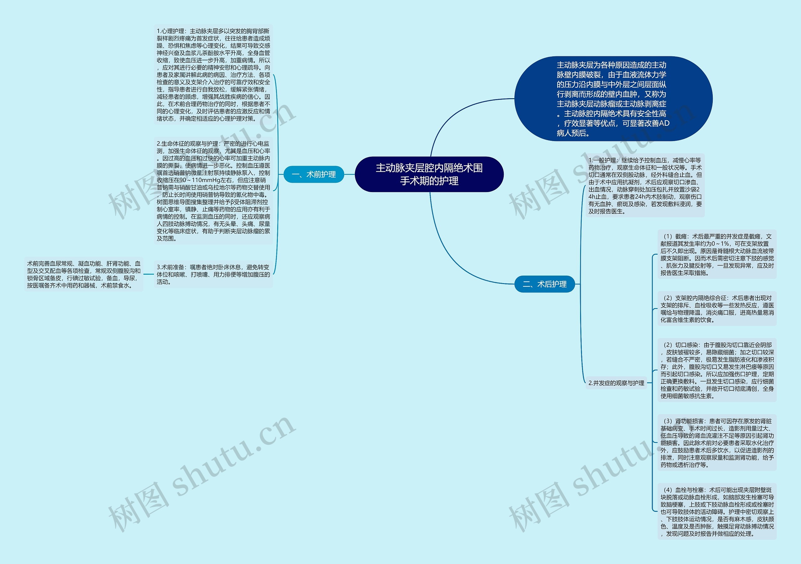 主动脉夹层腔内隔绝术围手术期的护理思维导图