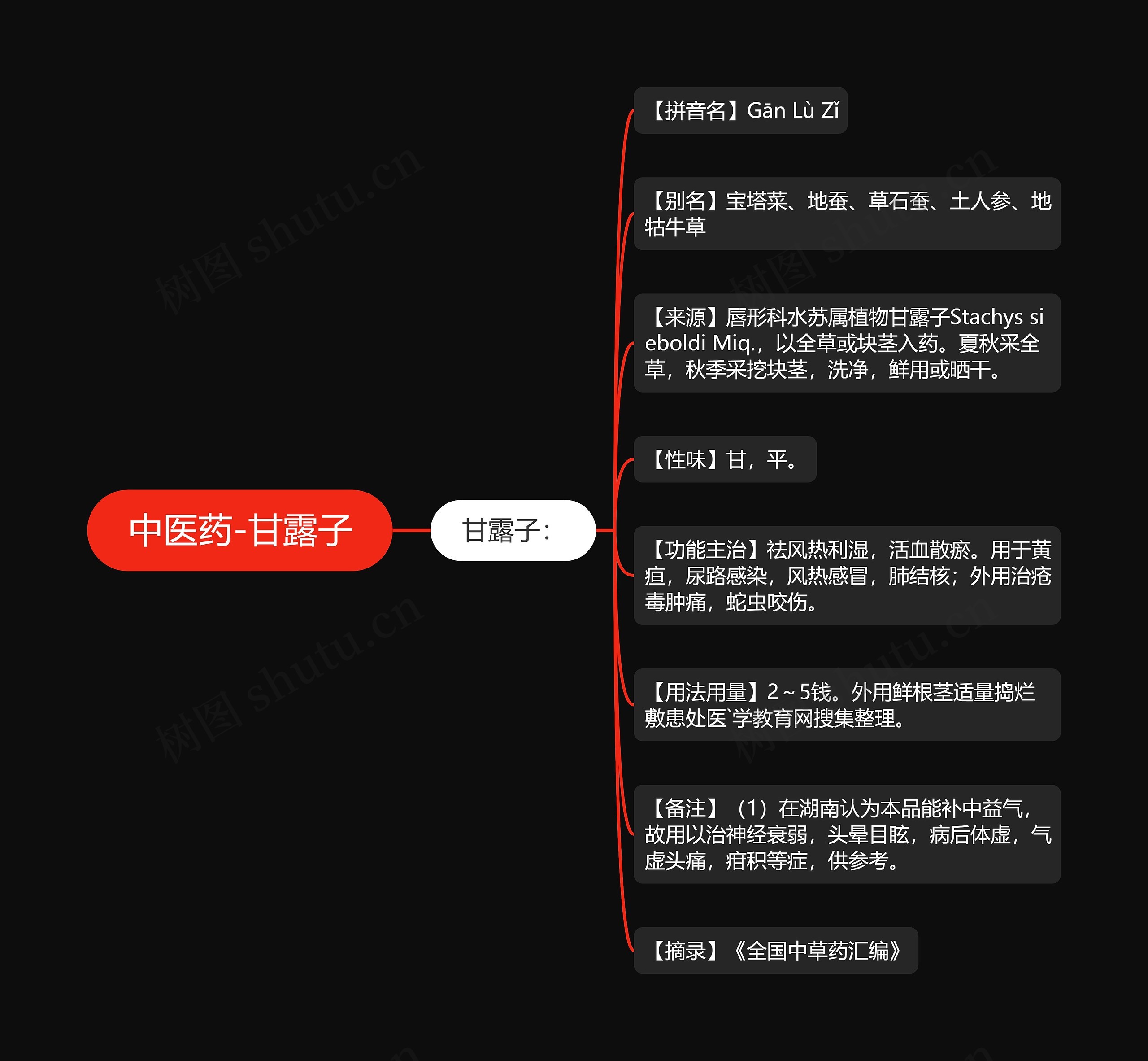 中医药-甘露子思维导图