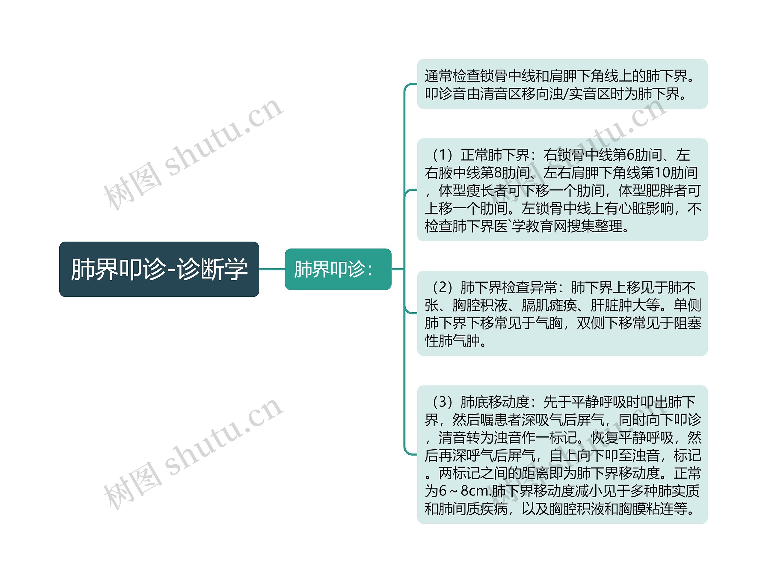 肺界叩诊-诊断学