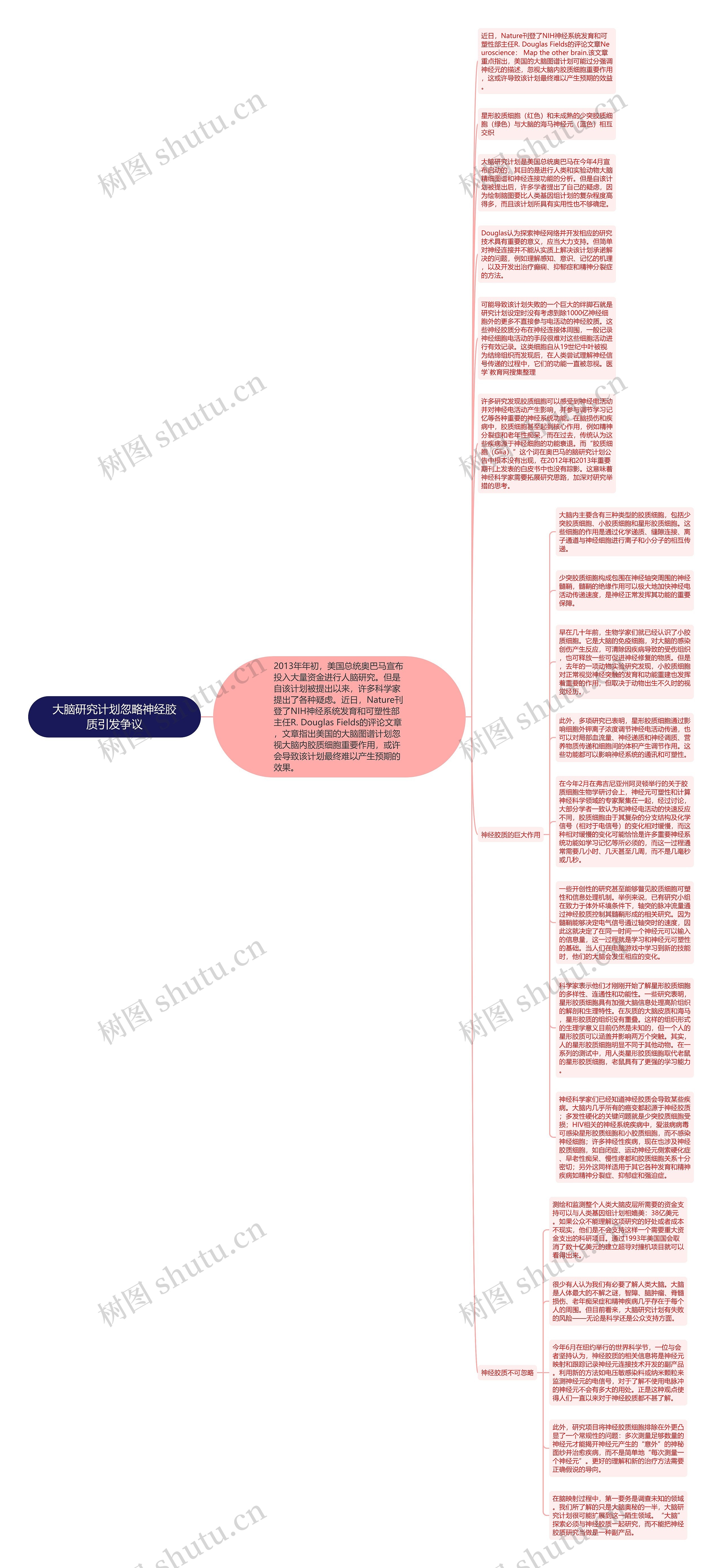 大脑研究计划忽略神经胶质引发争议思维导图