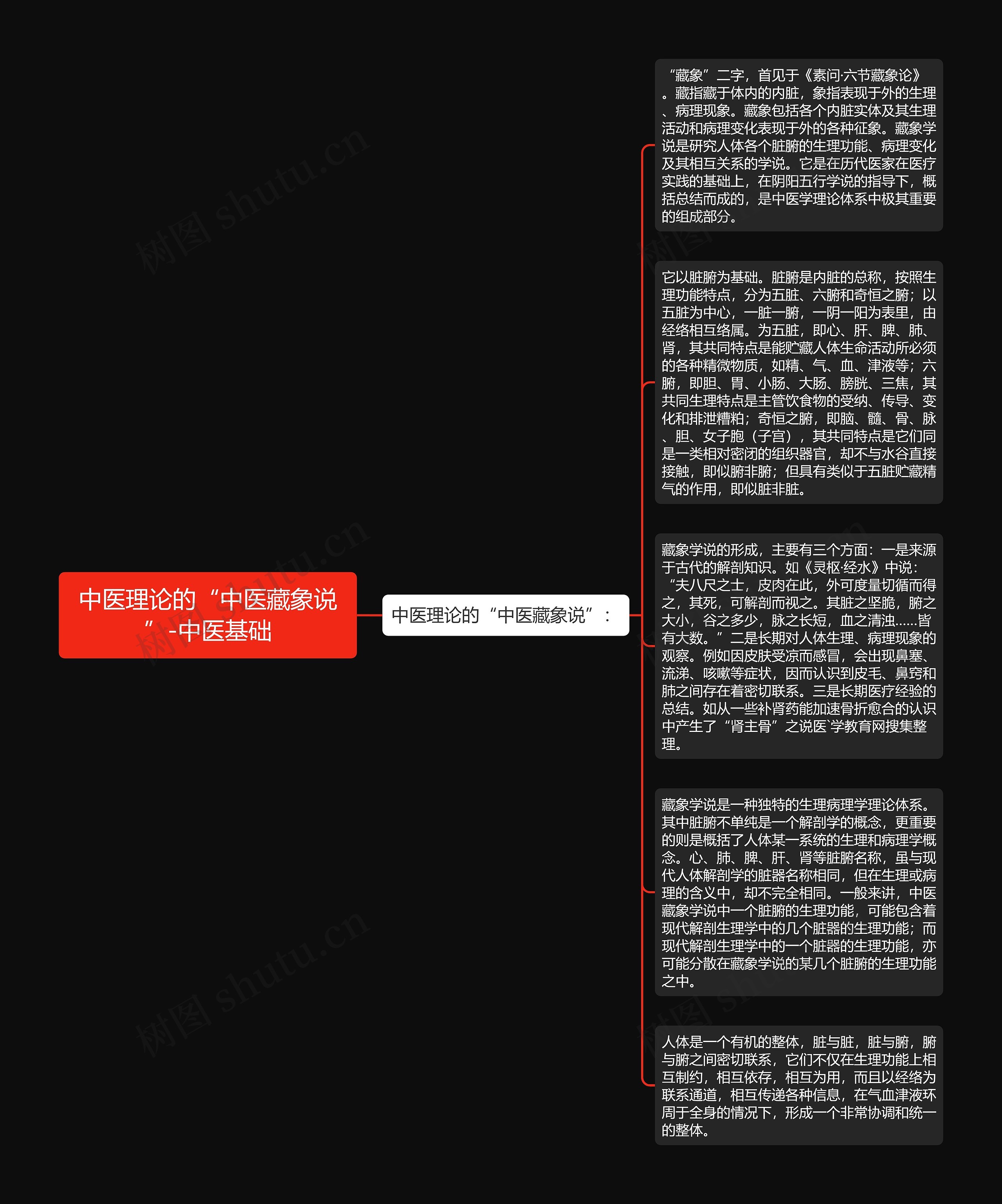 中医理论的“中医藏象说”-中医基础思维导图