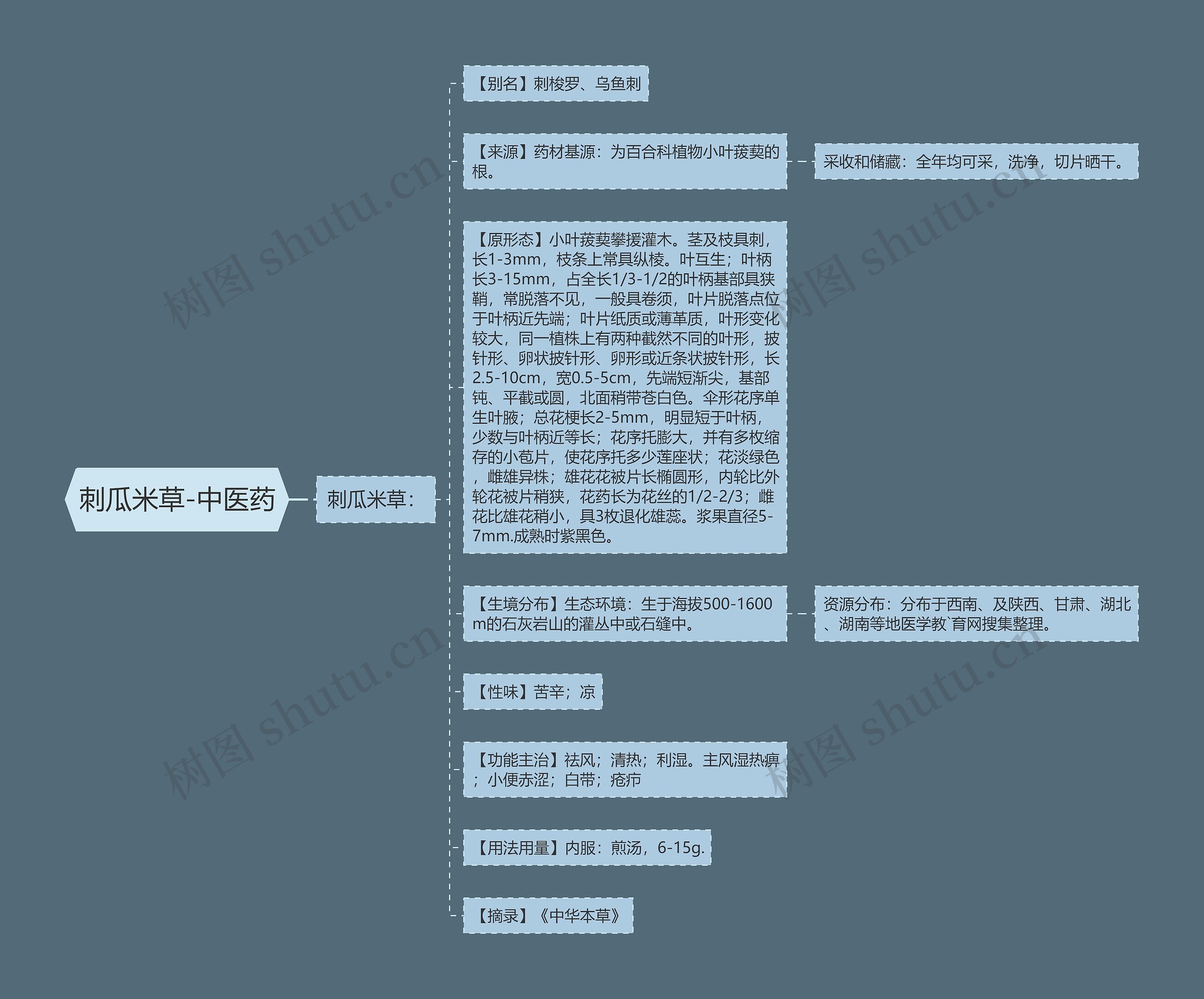 刺瓜米草-中医药思维导图