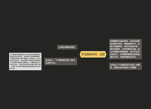 牙周膜的神经、血管