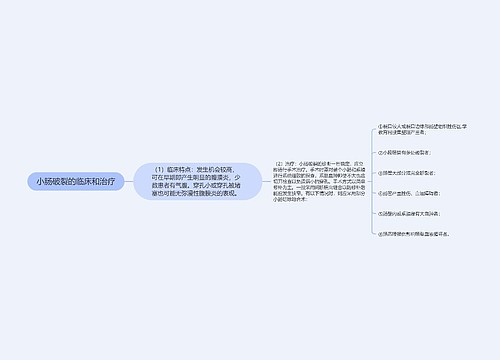 小肠破裂的临床和治疗