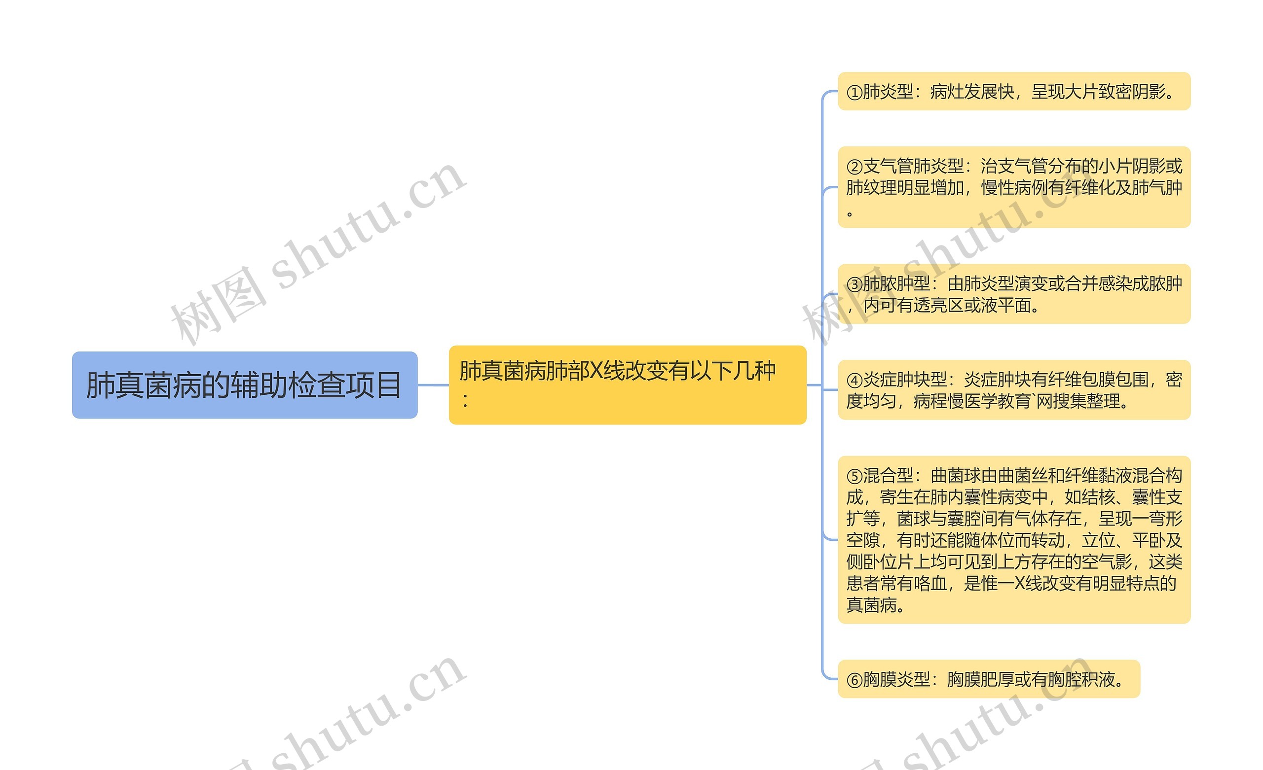 肺真菌病的辅助检查项目思维导图