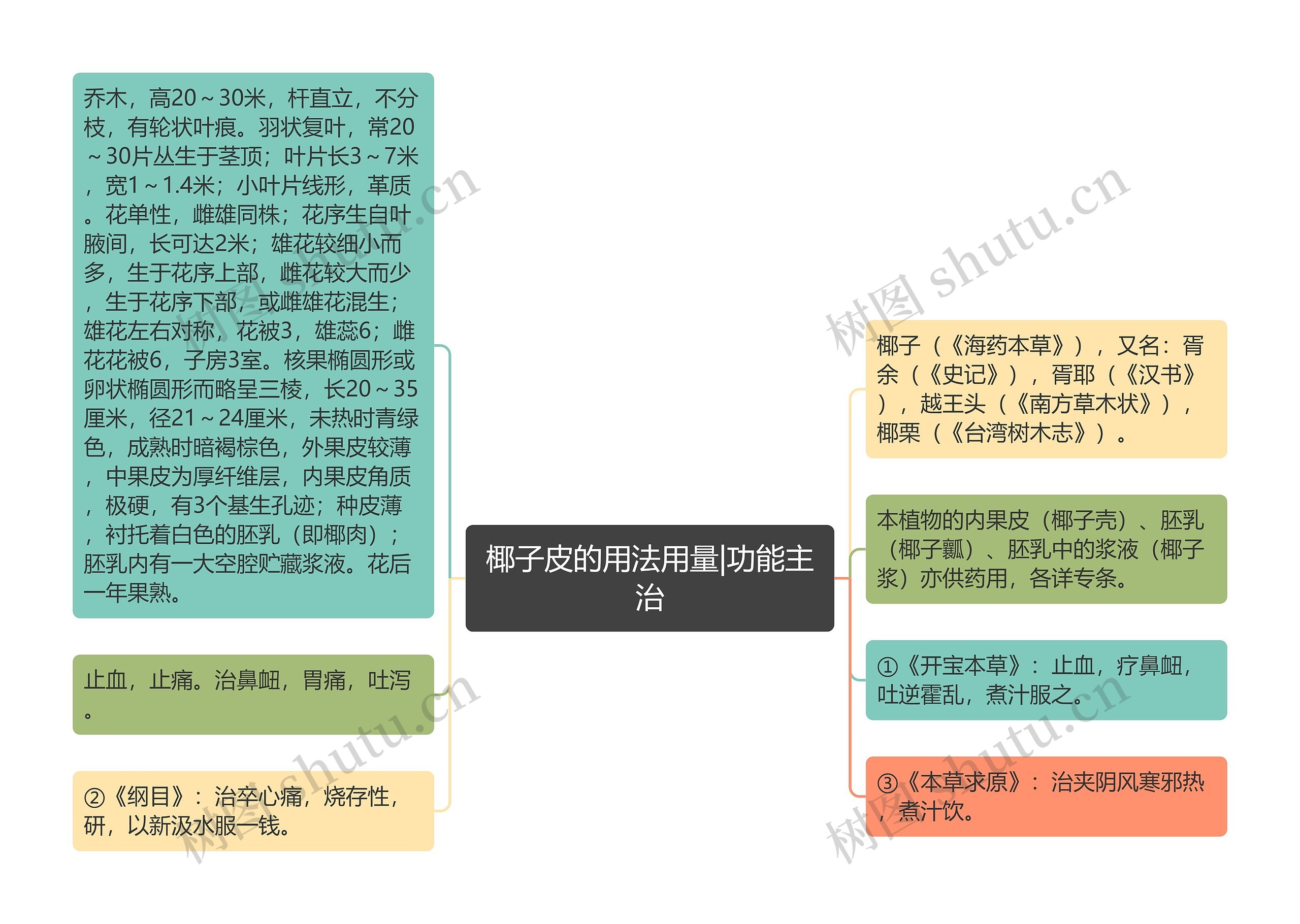 椰子皮的用法用量|功能主治思维导图