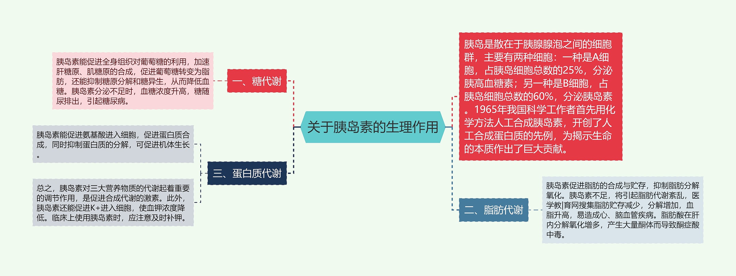 关于胰岛素的生理作用思维导图