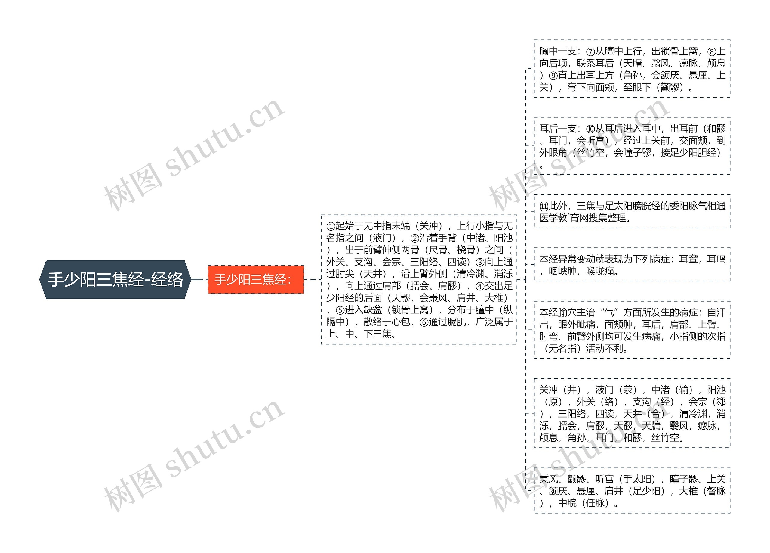 手少阳三焦经-经络 手少阳三焦经-经络