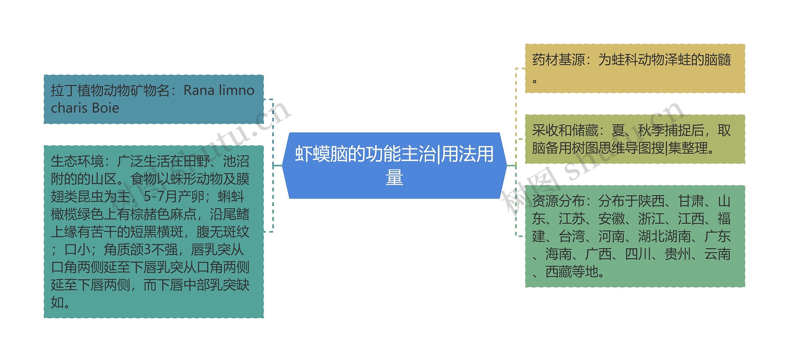 虾蟆脑的功能主治|用法用量