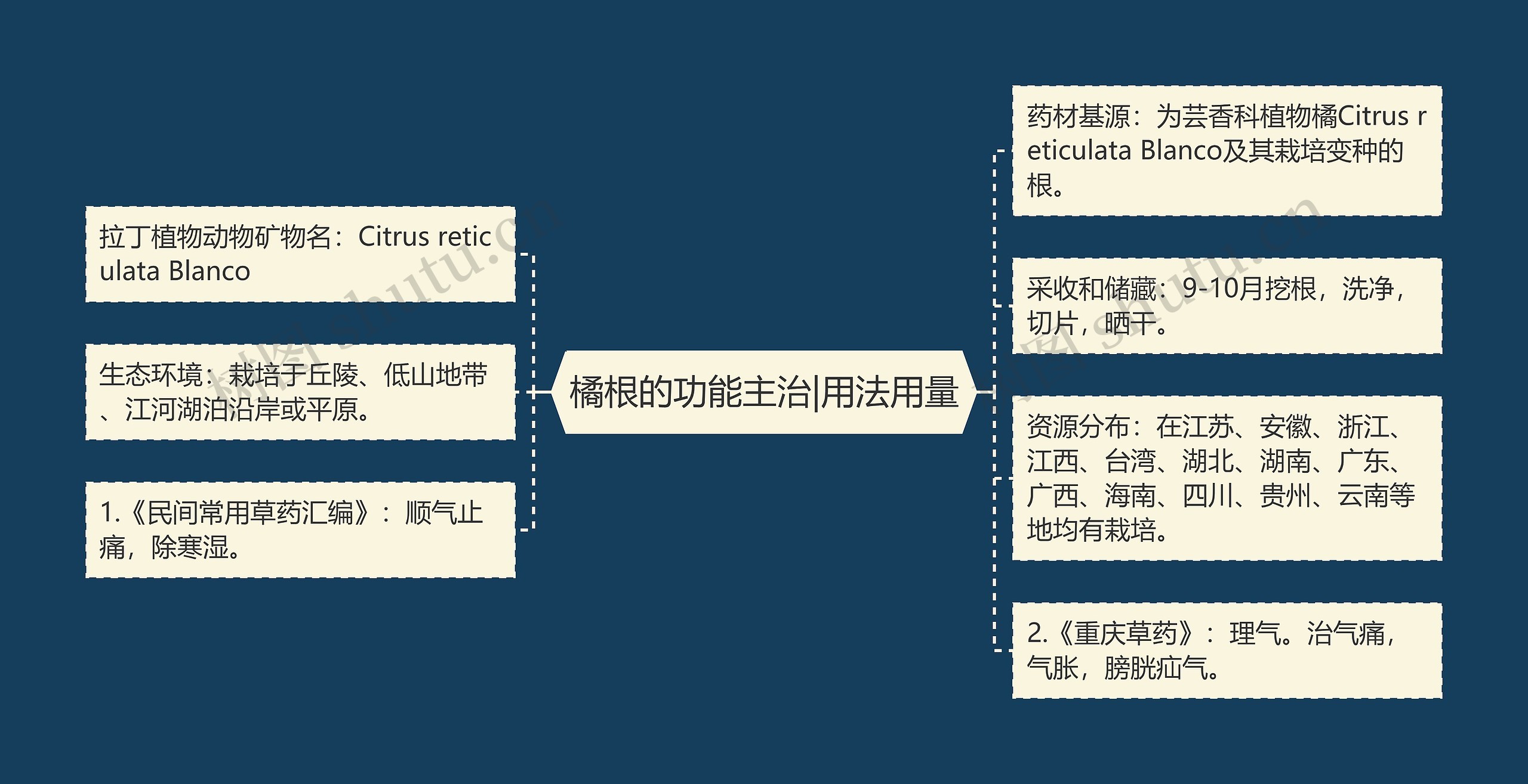 橘根的功能主治|用法用量思维导图