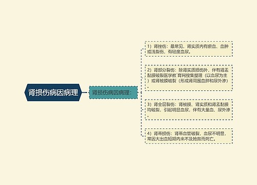 肾损伤病因病理