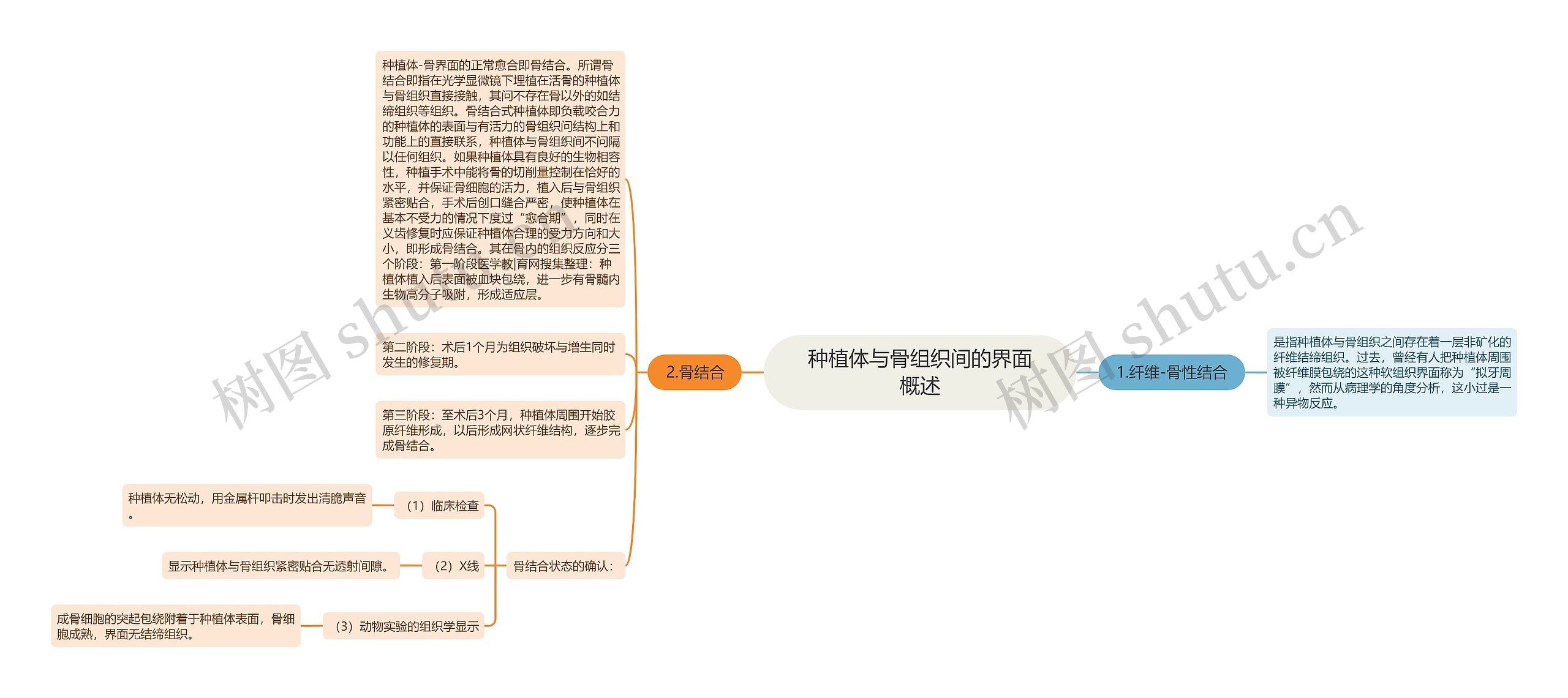 种植体与骨组织间的界面概述