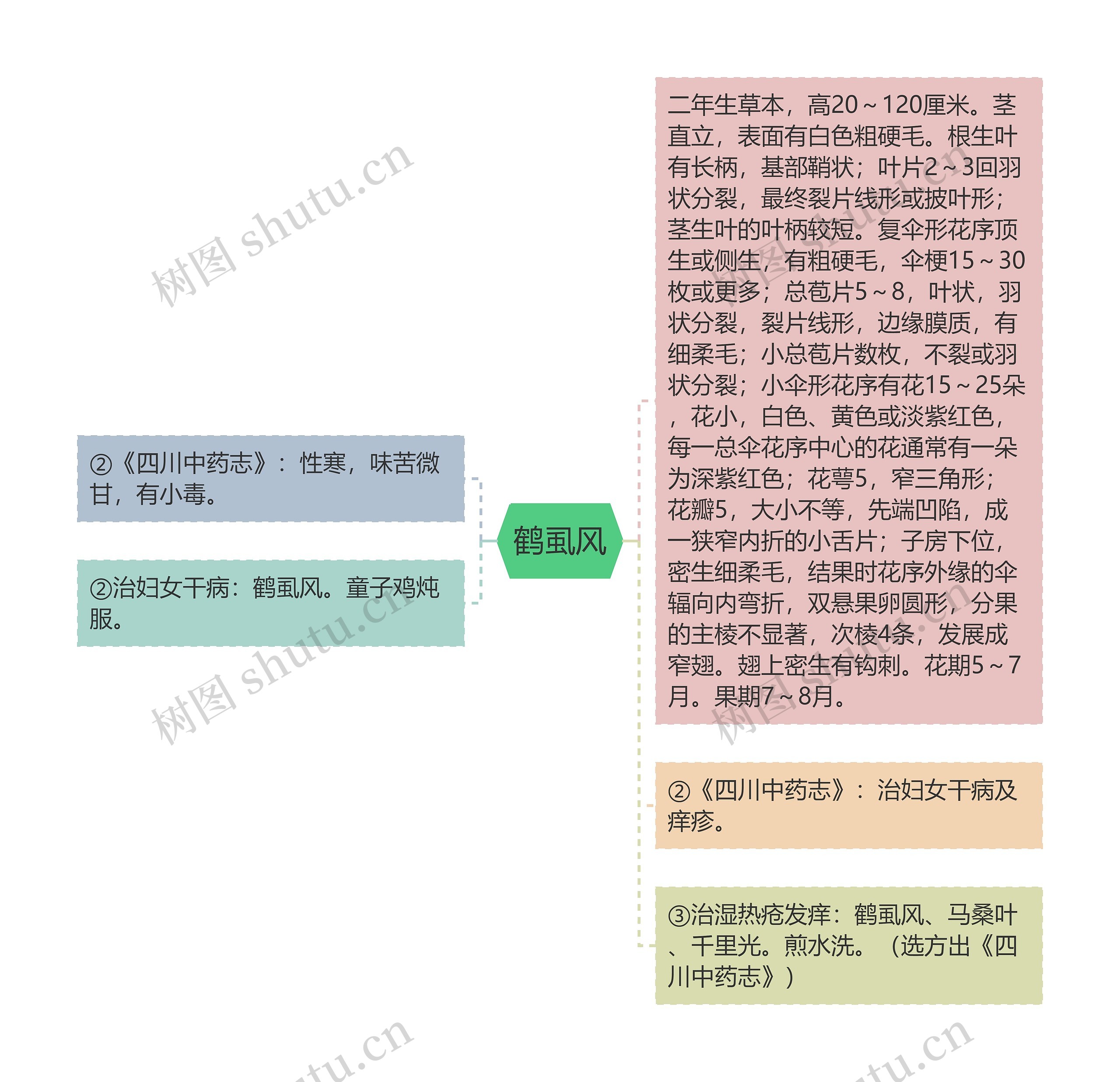 鹤虱风思维导图