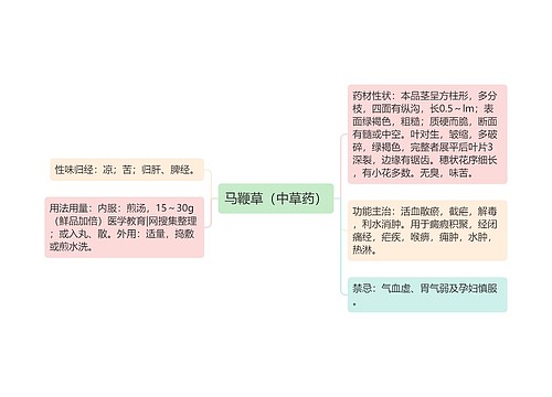 马鞭草（中草药）