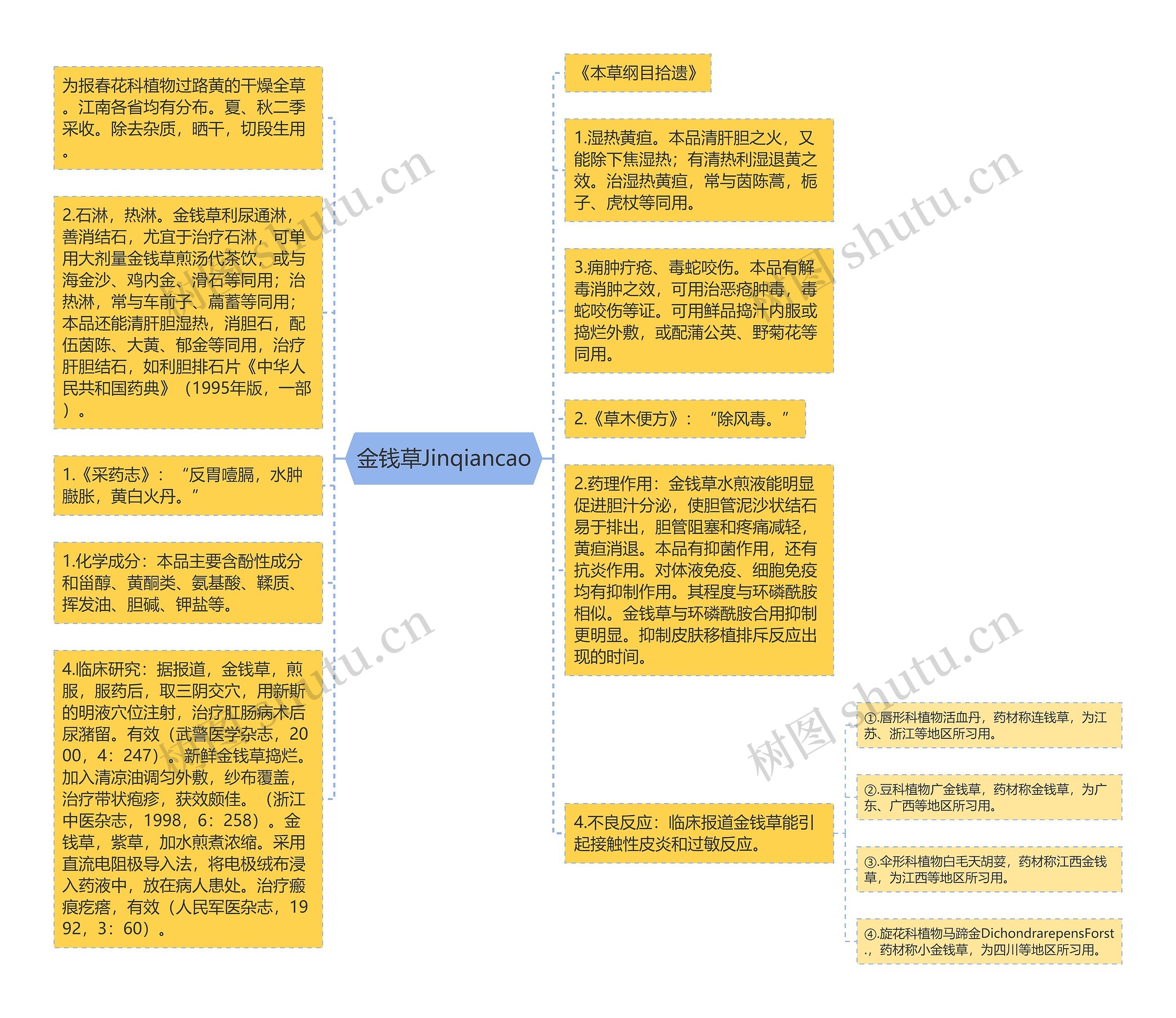 金钱草Jinqiancao思维导图