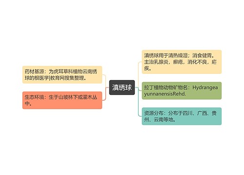 滇绣球