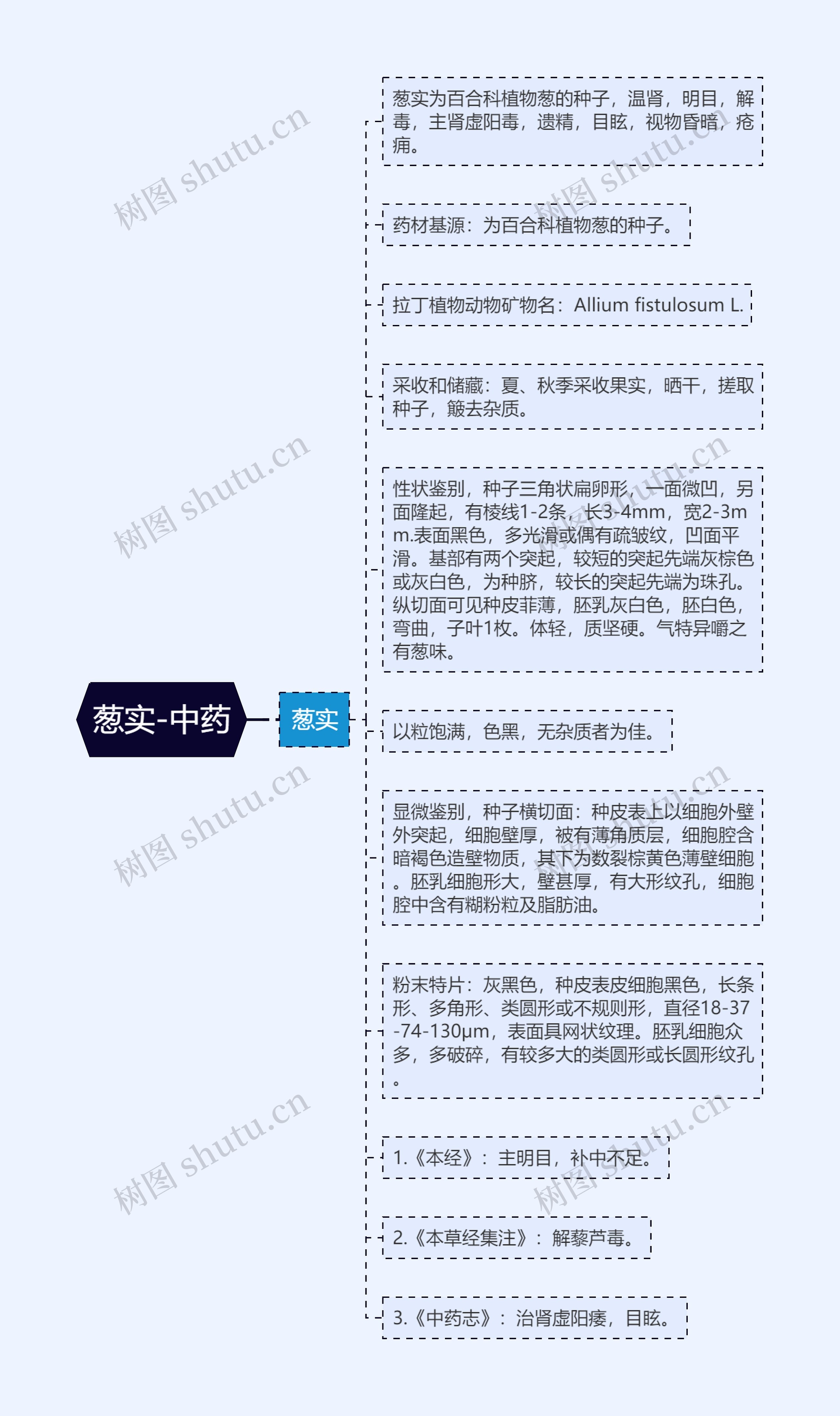 葱实-中药思维导图