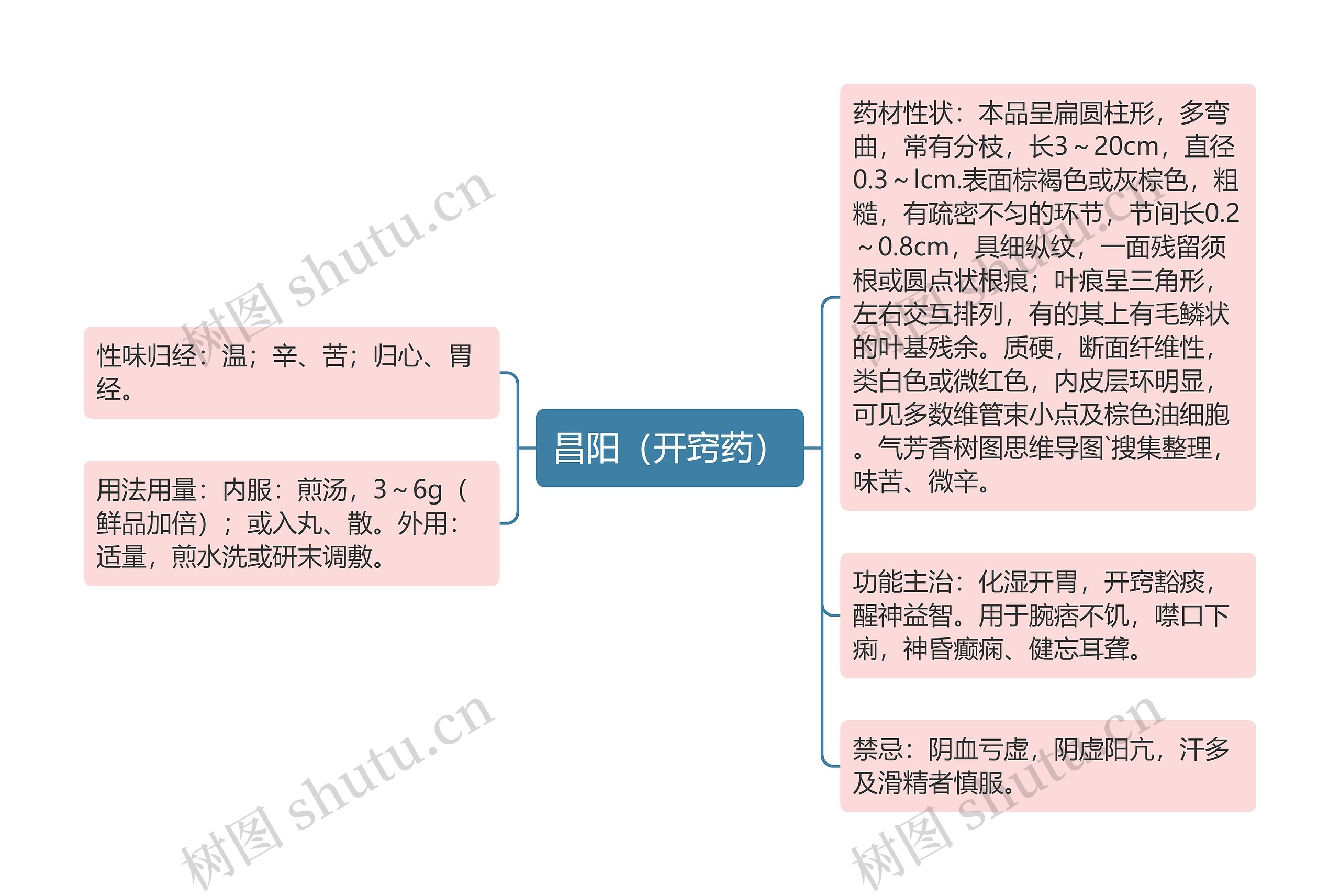 昌阳（开窍药）思维导图