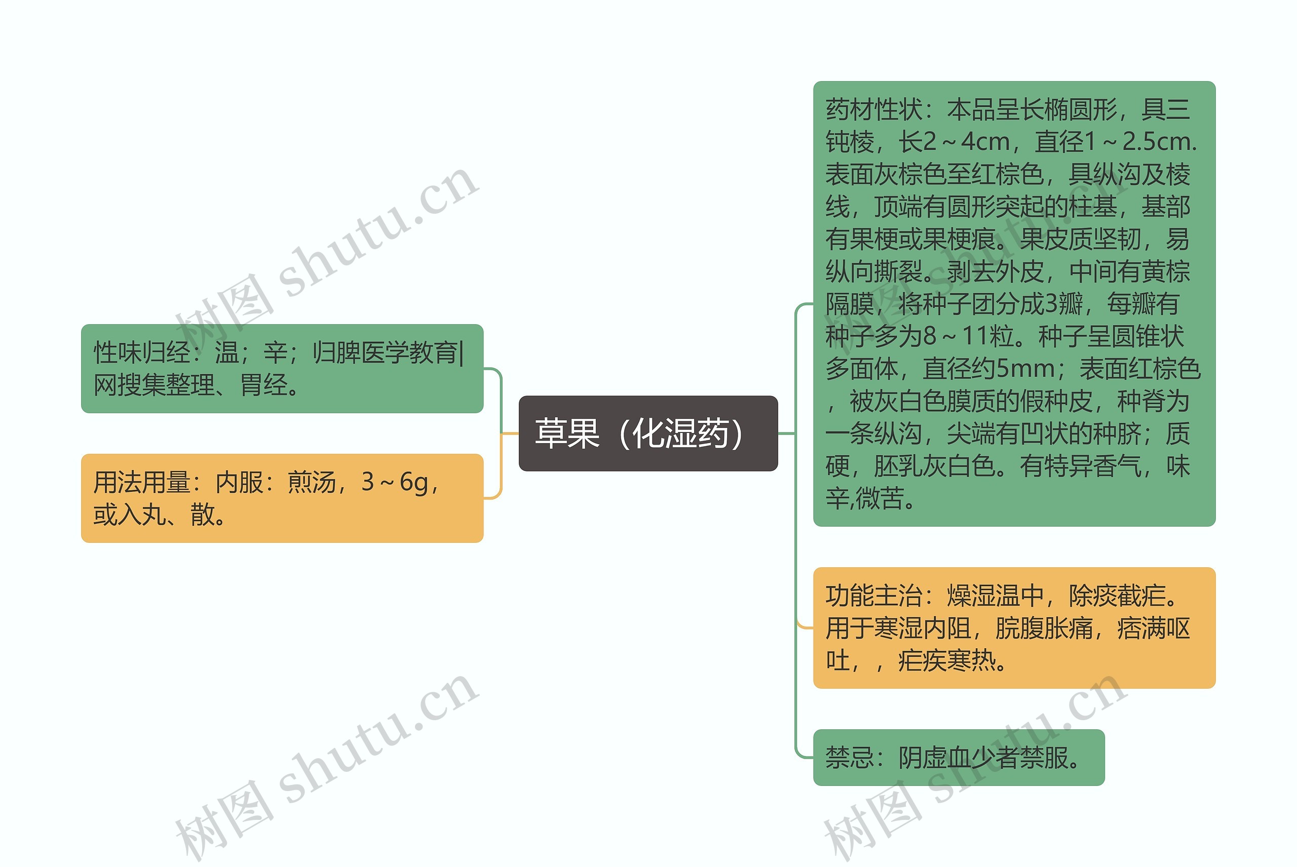 草果（化湿药）思维导图