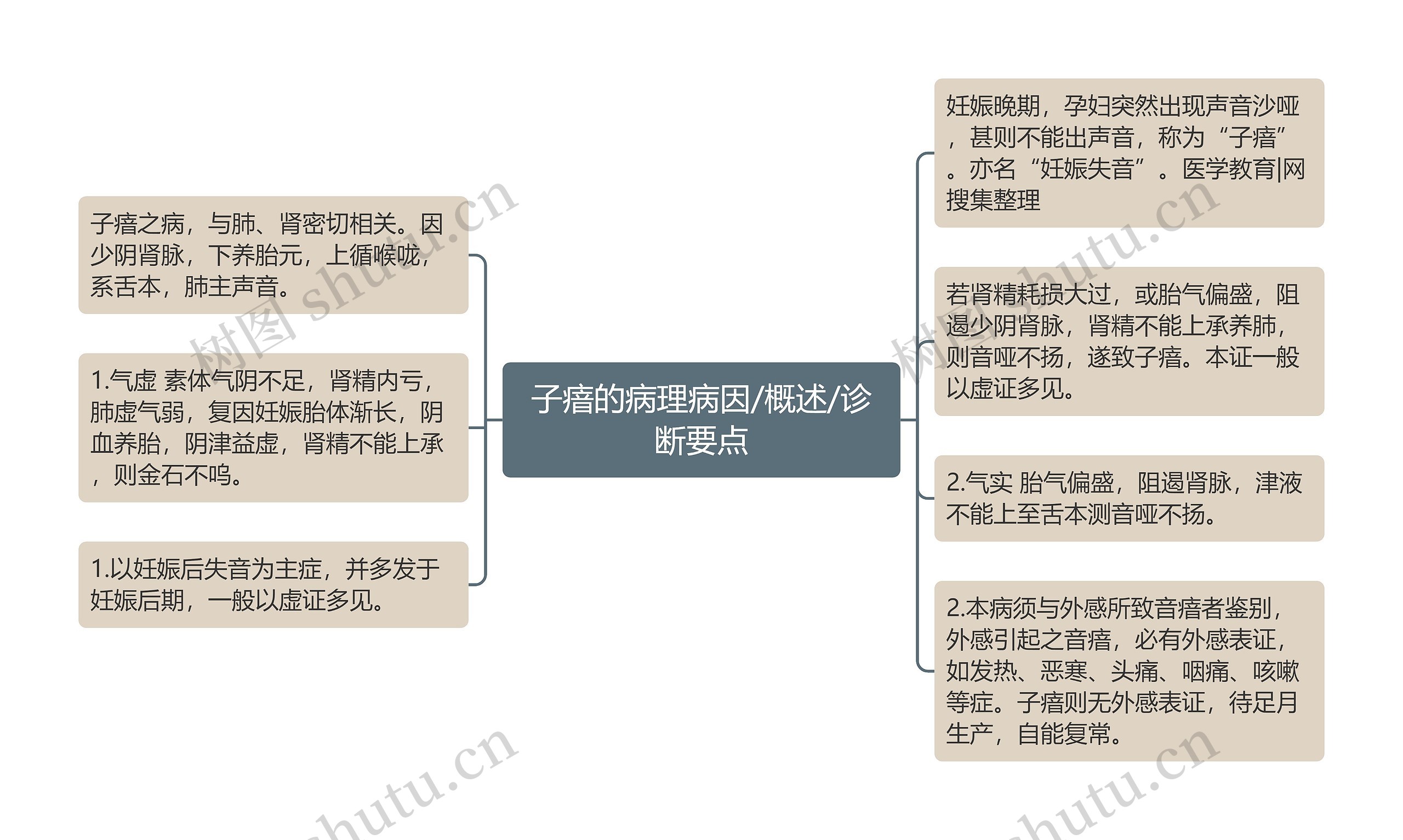 子瘖的病理病因/概述/诊断要点思维导图